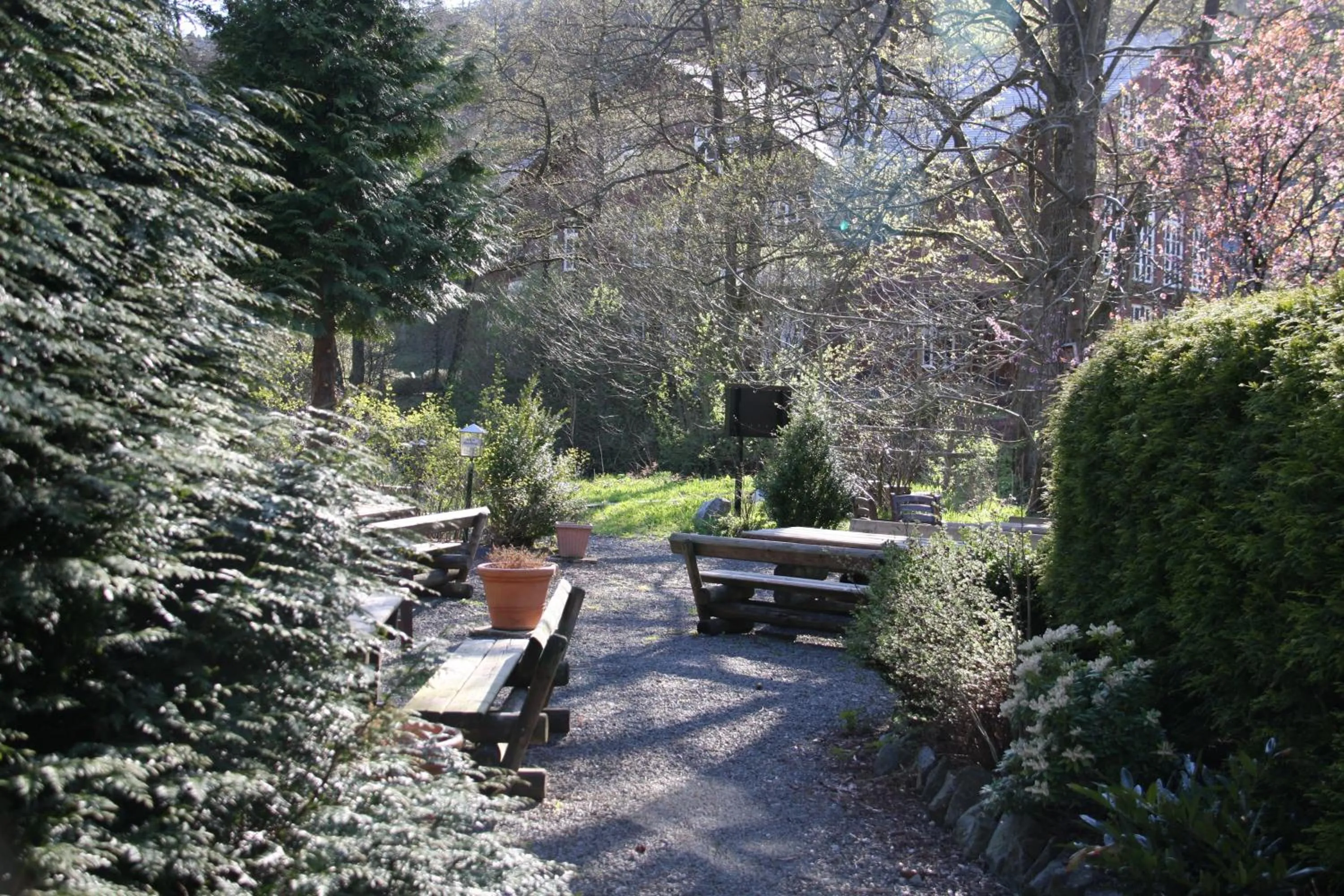 Restaurant/places to eat in Hotel zum Forsthaus