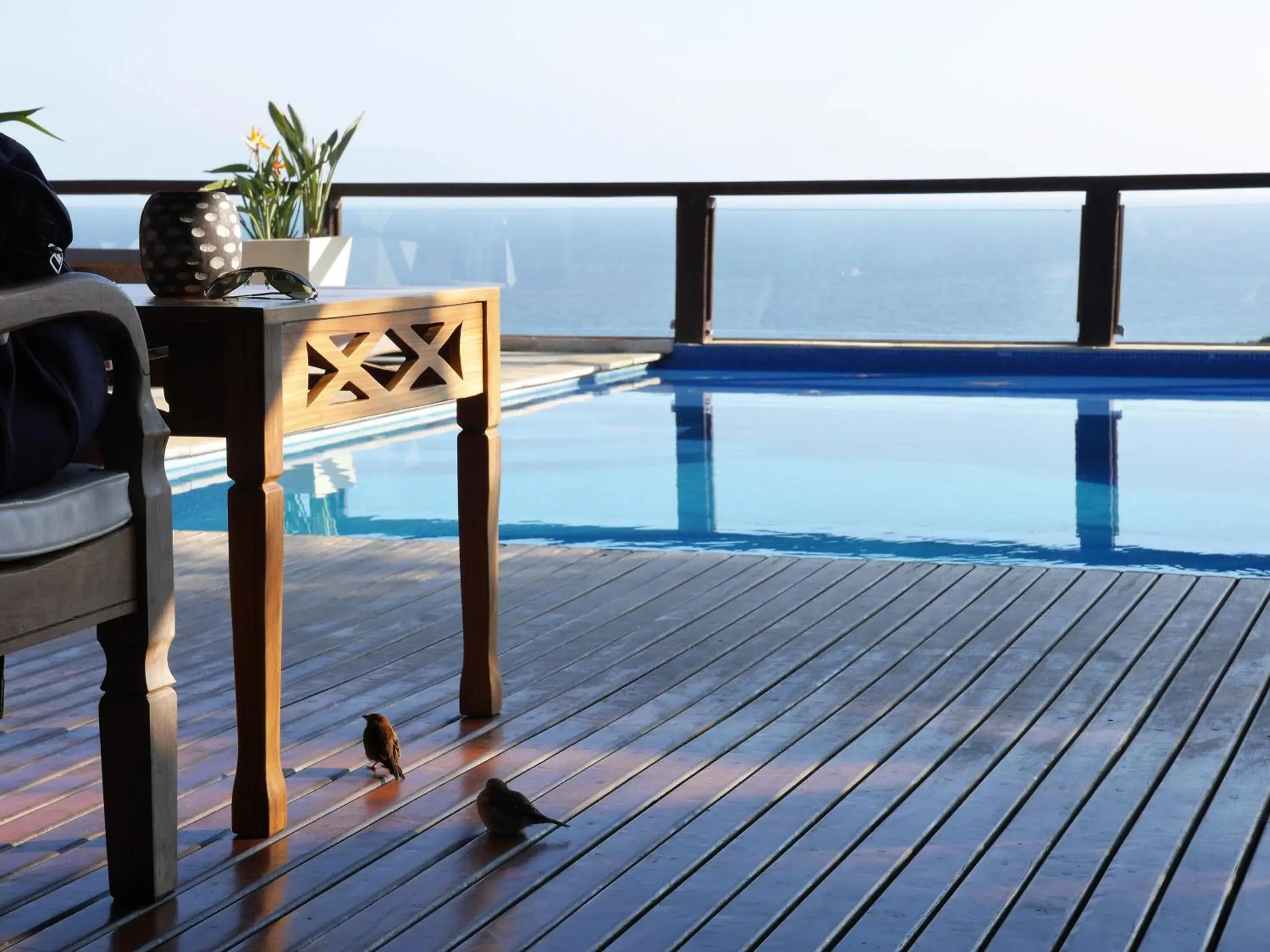 Swimming pool in La Pedrera Small Hotel & Spa Swimming pool in La Pedrera Small Hotel & Spa