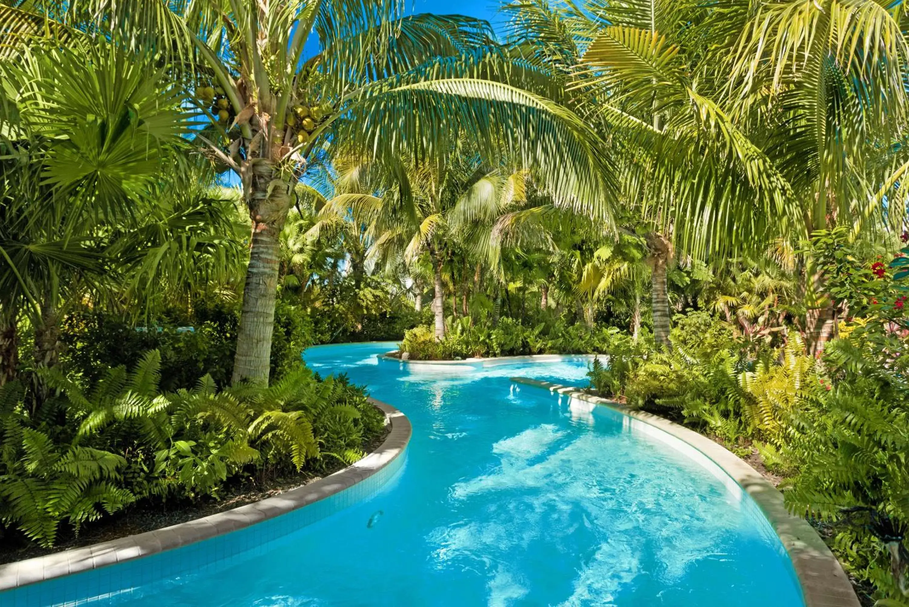 Swimming pool in Hyatt Regency Coconut Point Resort & Spa Near Naples Swimming pool in Hyatt Regency Coconut Point Resort & Spa Near Naples