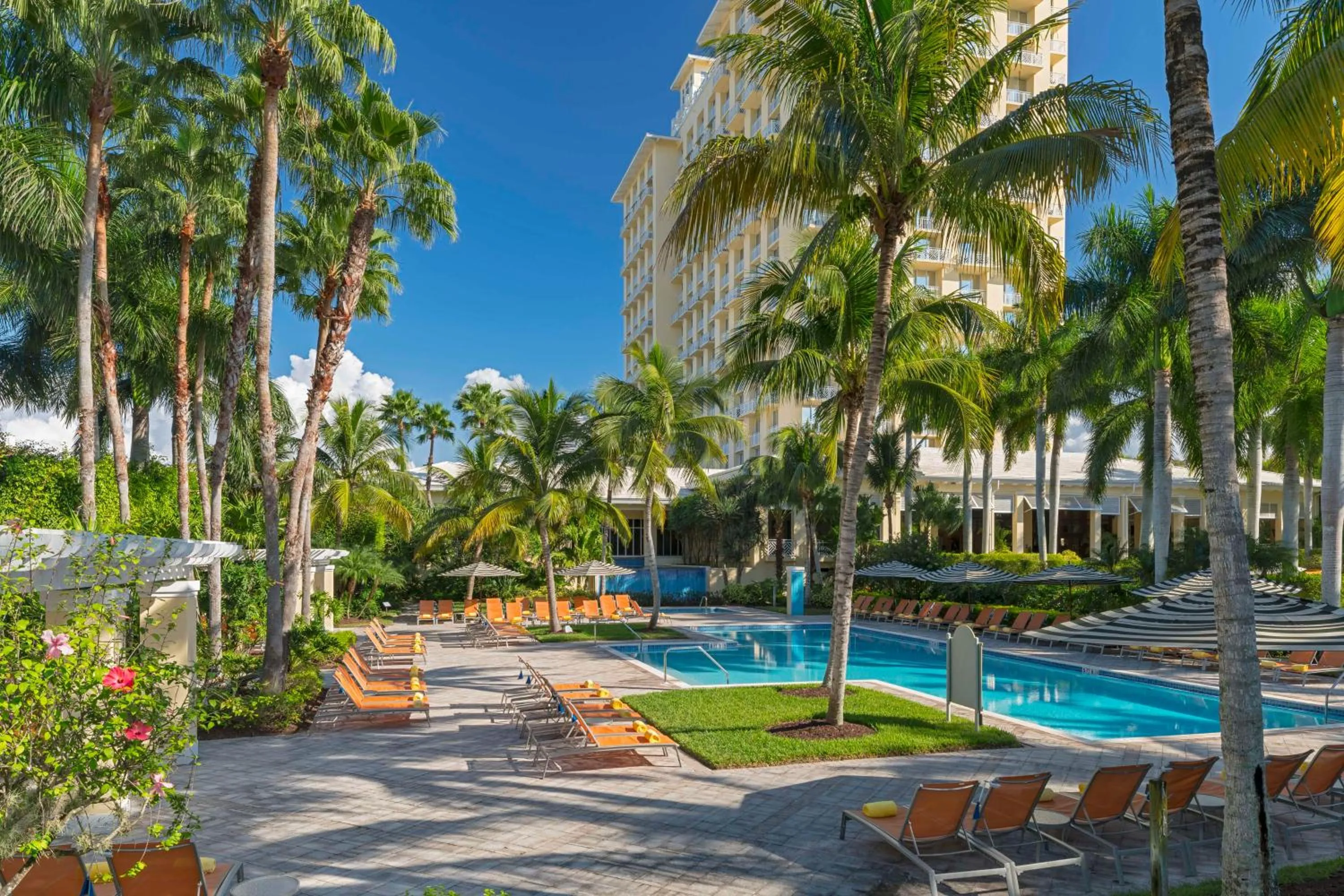 Swimming pool in Hyatt Regency Coconut Point Resort & Spa Near Naples