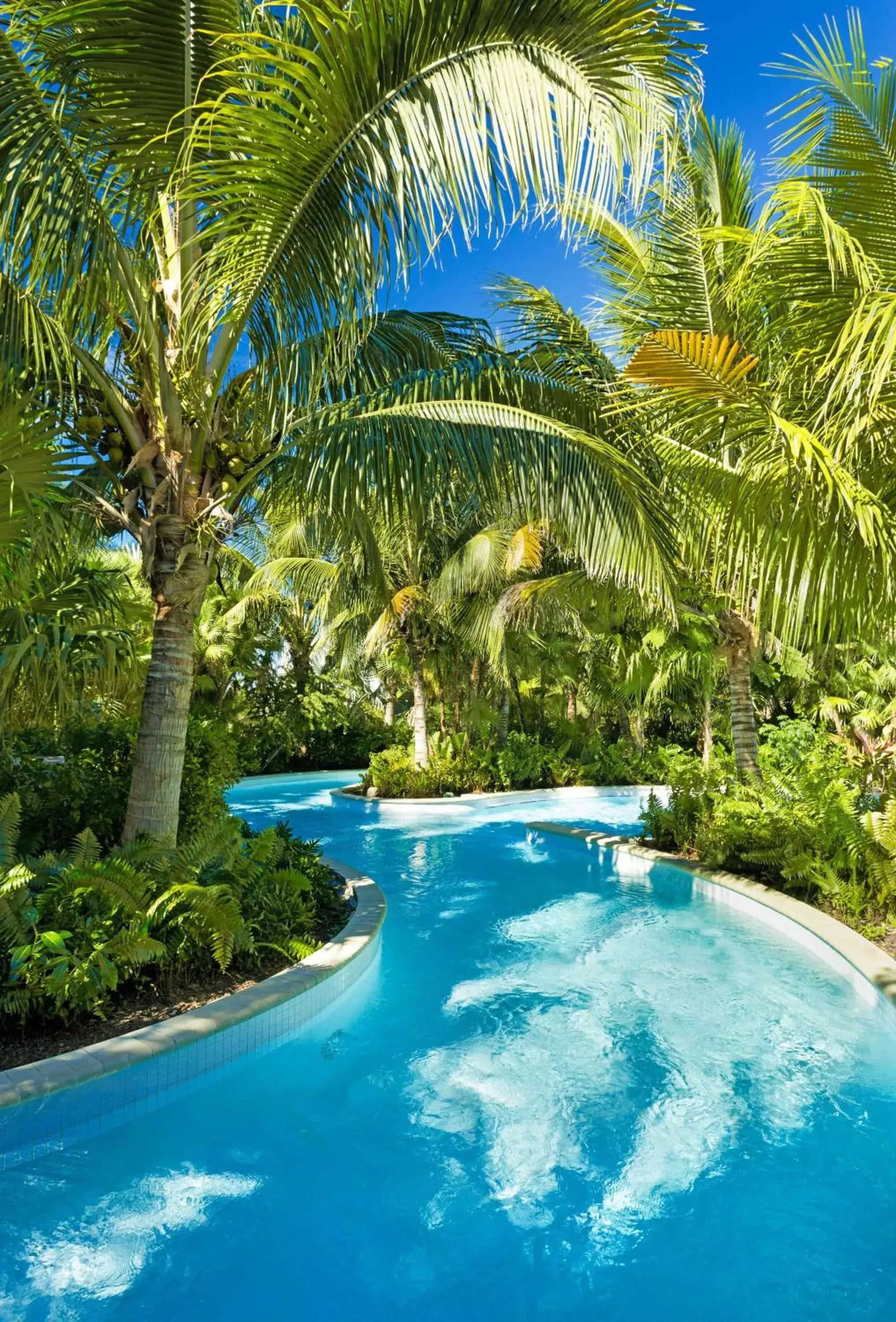 Pool view in Hyatt Regency Coconut Point Resort & Spa Near Naples Pool view in Hyatt Regency Coconut Point Resort & Spa Near Naples