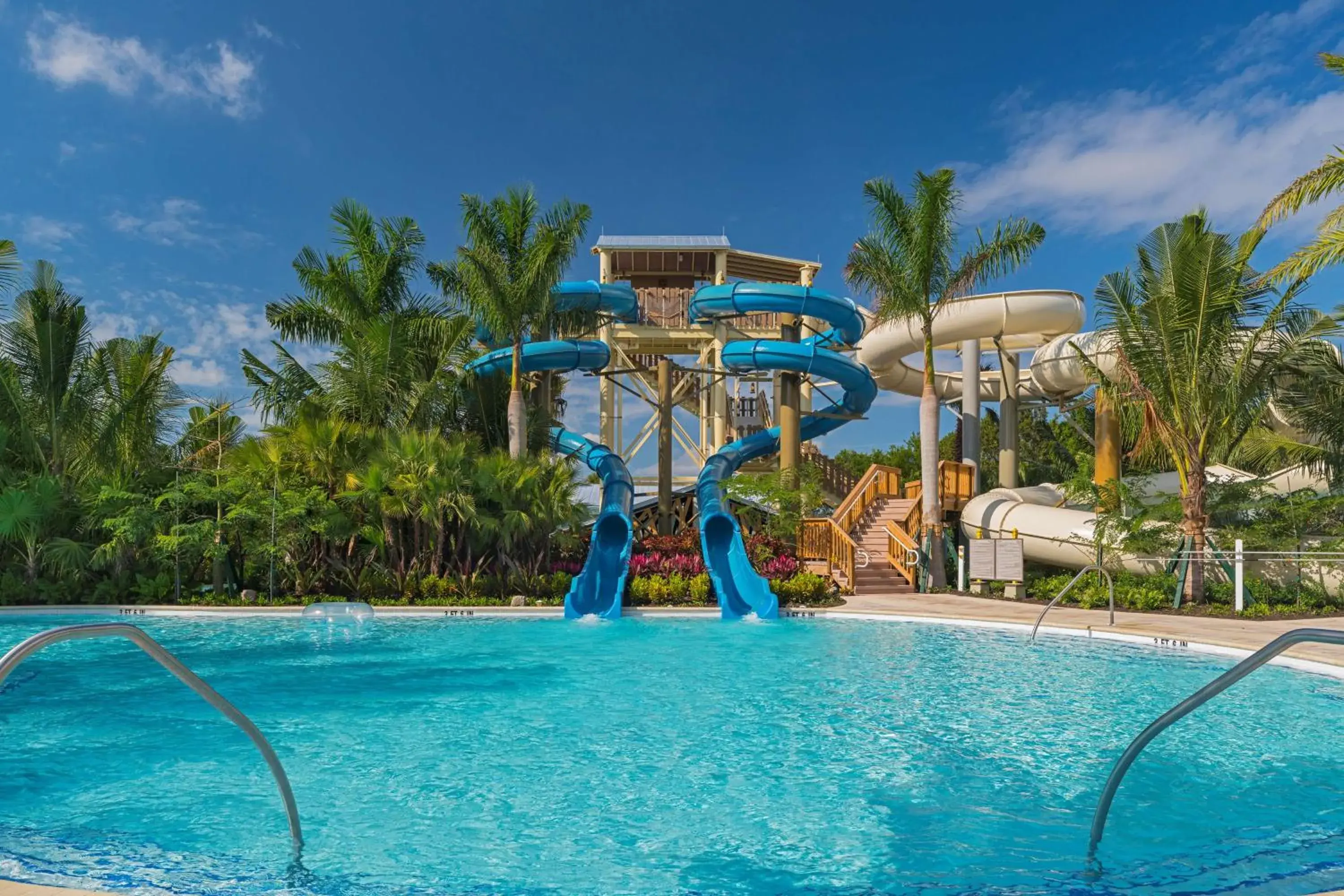 Pool view in Hyatt Regency Coconut Point Resort & Spa Near Naples Pool view in Hyatt Regency Coconut Point Resort & Spa Near Naples