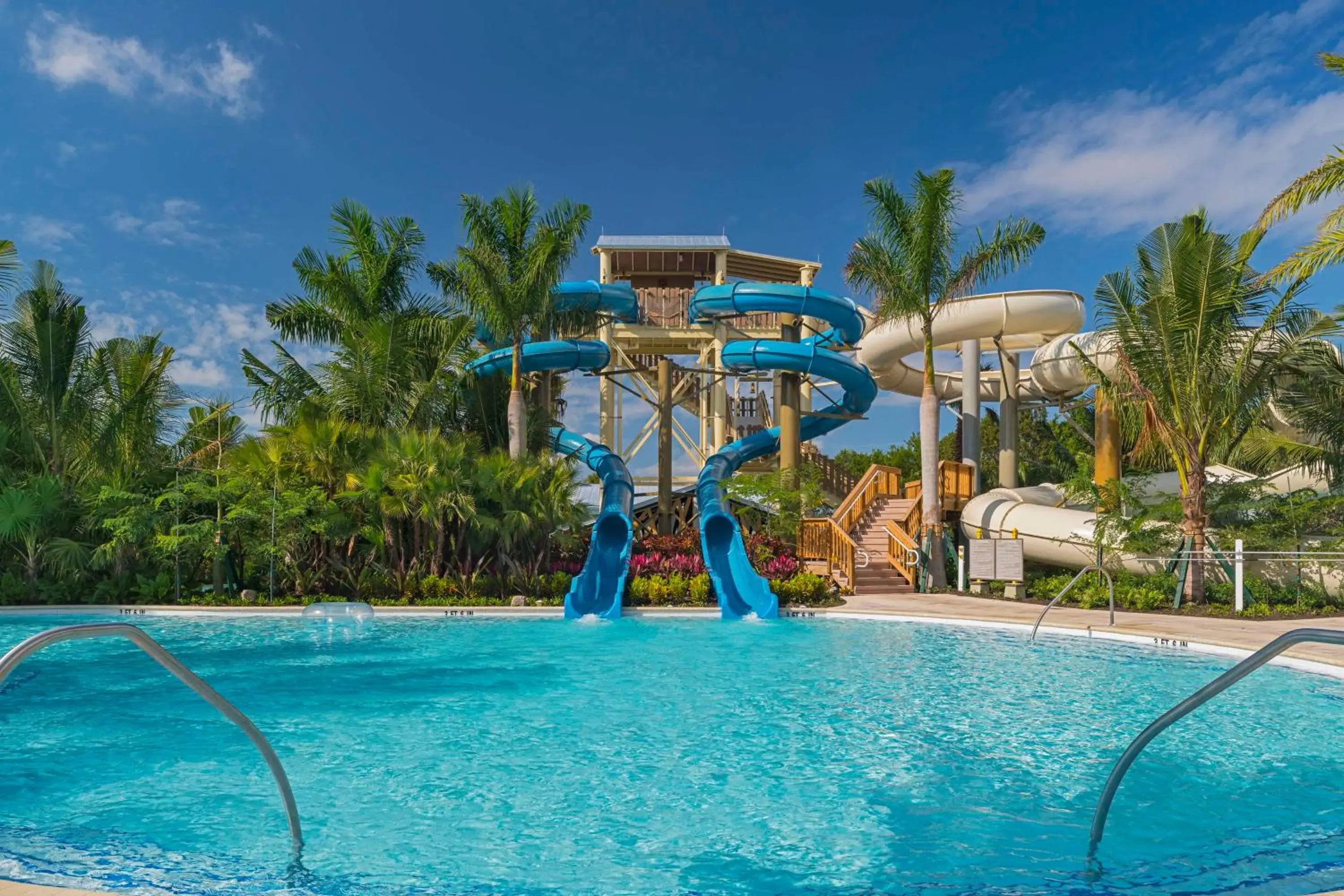 Swimming pool in Hyatt Regency Coconut Point Resort & Spa Near Naples Swimming pool in Hyatt Regency Coconut Point Resort & Spa Near Naples