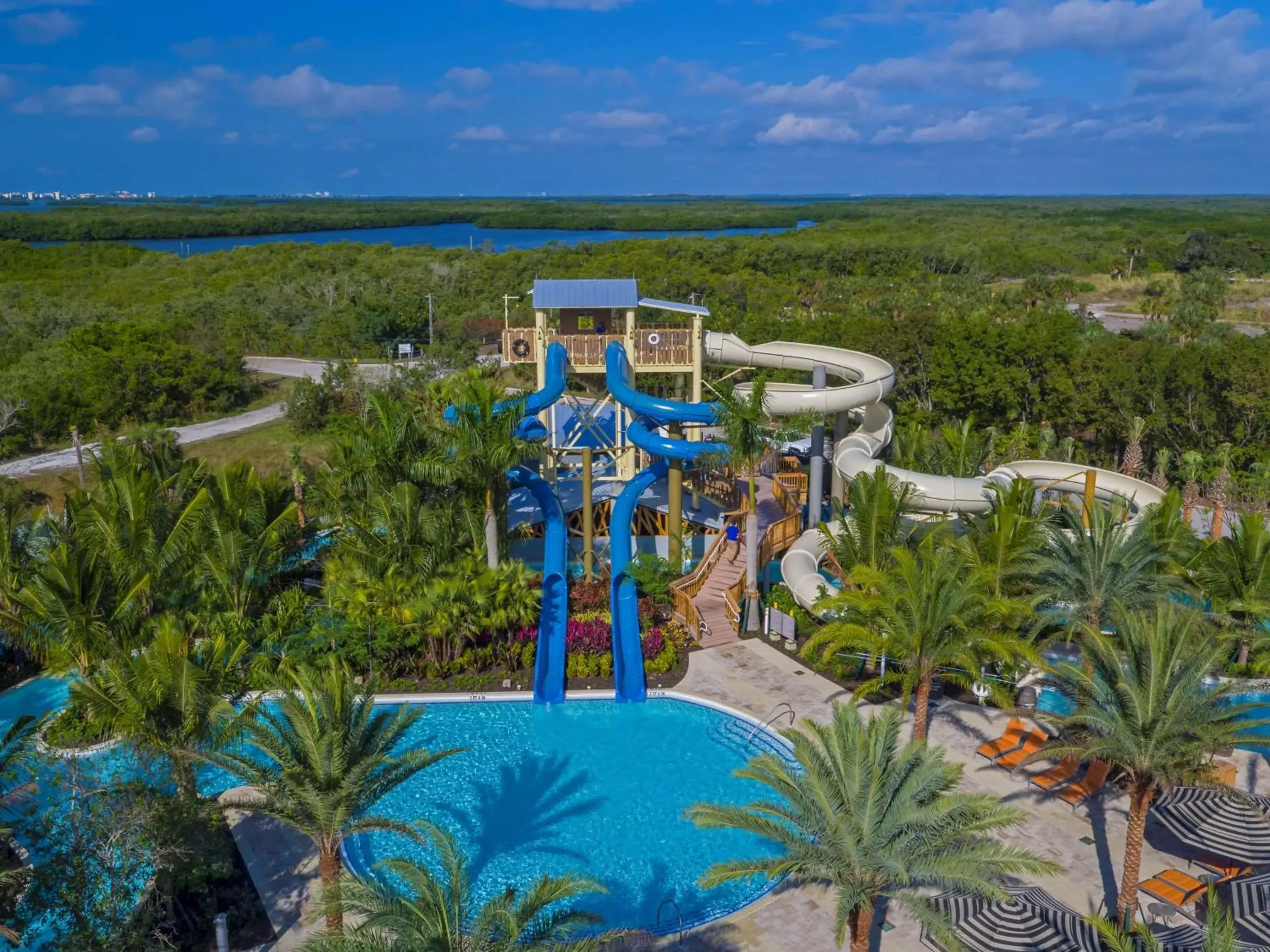Pool view in Hyatt Regency Coconut Point Resort & Spa Near Naples Pool view in Hyatt Regency Coconut Point Resort & Spa Near Naples
