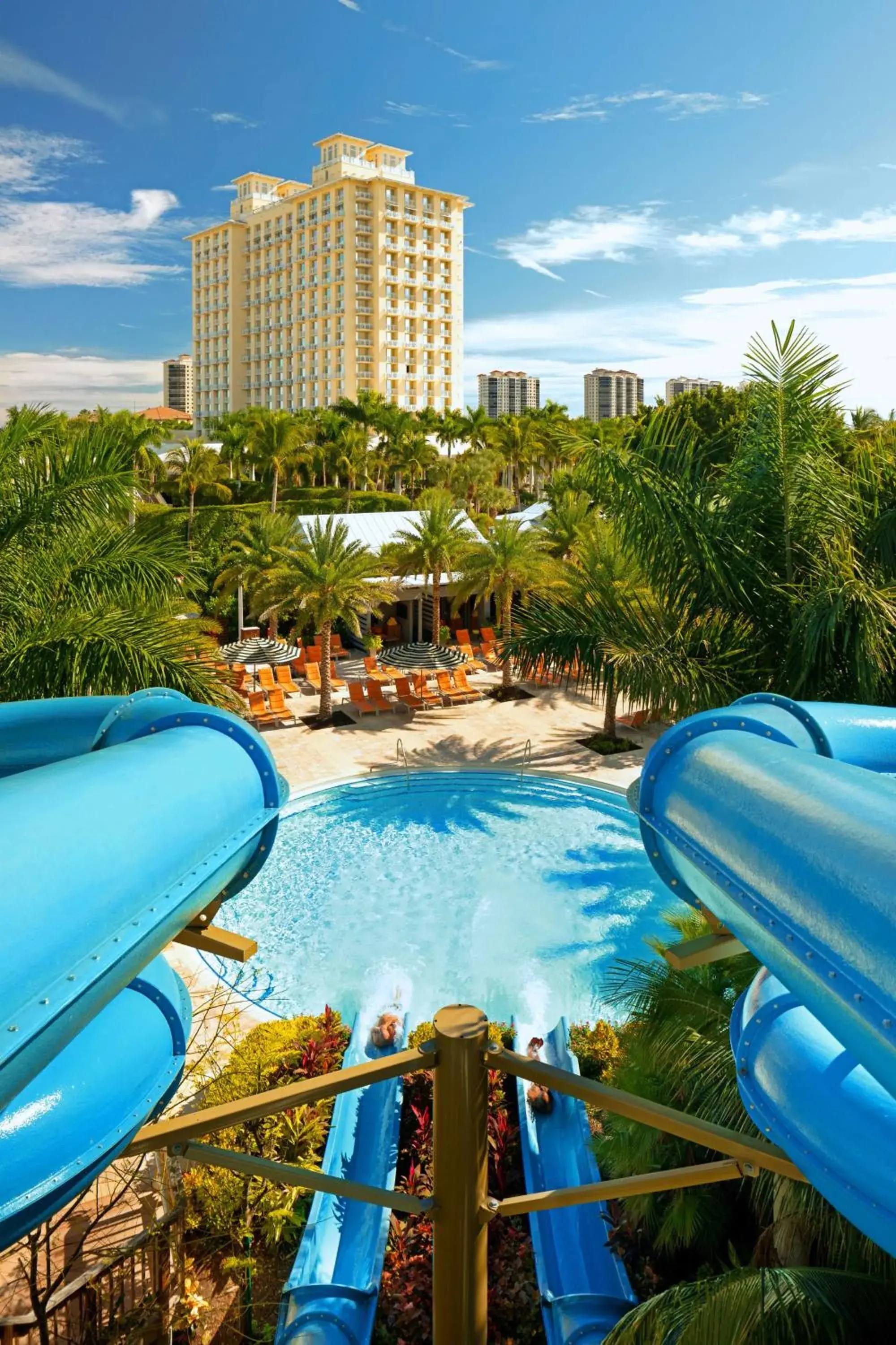 Pool view in Hyatt Regency Coconut Point Resort & Spa Near Naples Pool view in Hyatt Regency Coconut Point Resort & Spa Near Naples