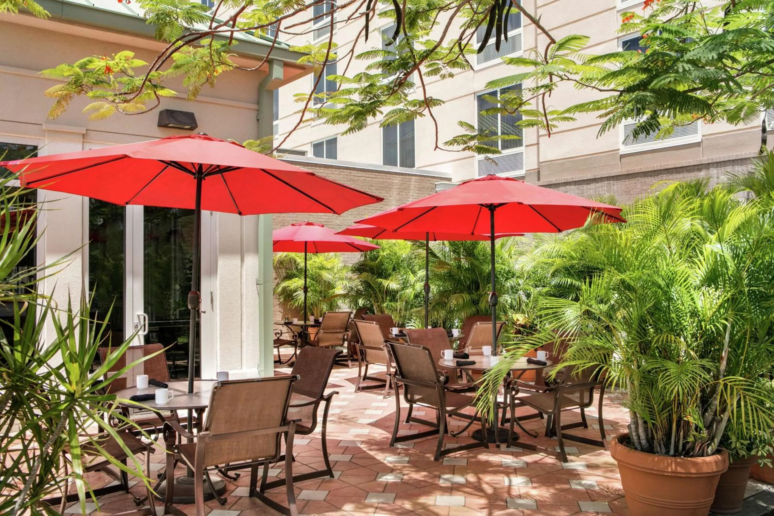 Restaurant/places to eat in Hilton Garden Inn Fort Myers Airport/FGCU