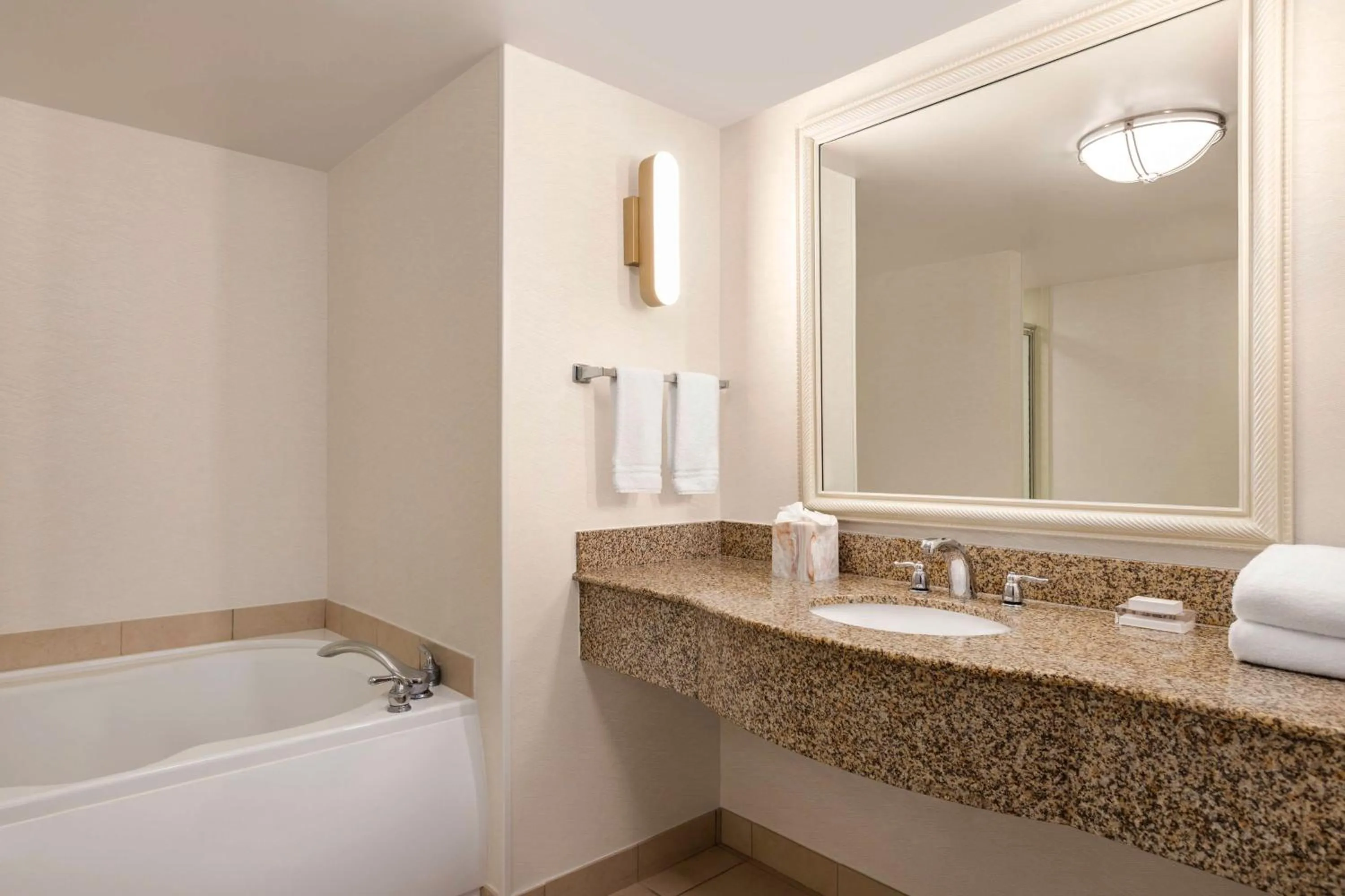 Bathroom in Hilton Garden Inn Fort Myers Airport/FGCU