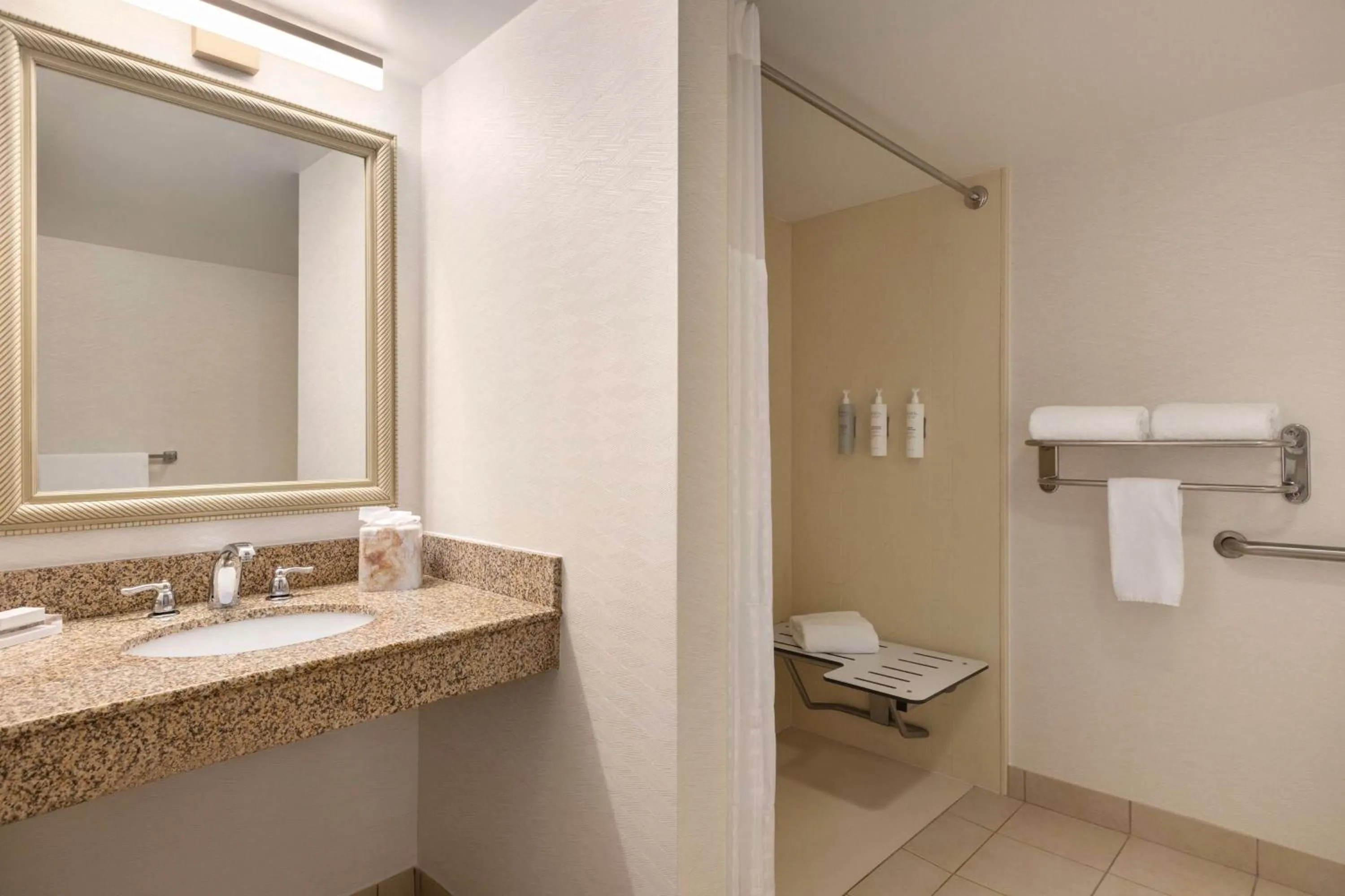 Bathroom in Hilton Garden Inn Fort Myers Airport/FGCU