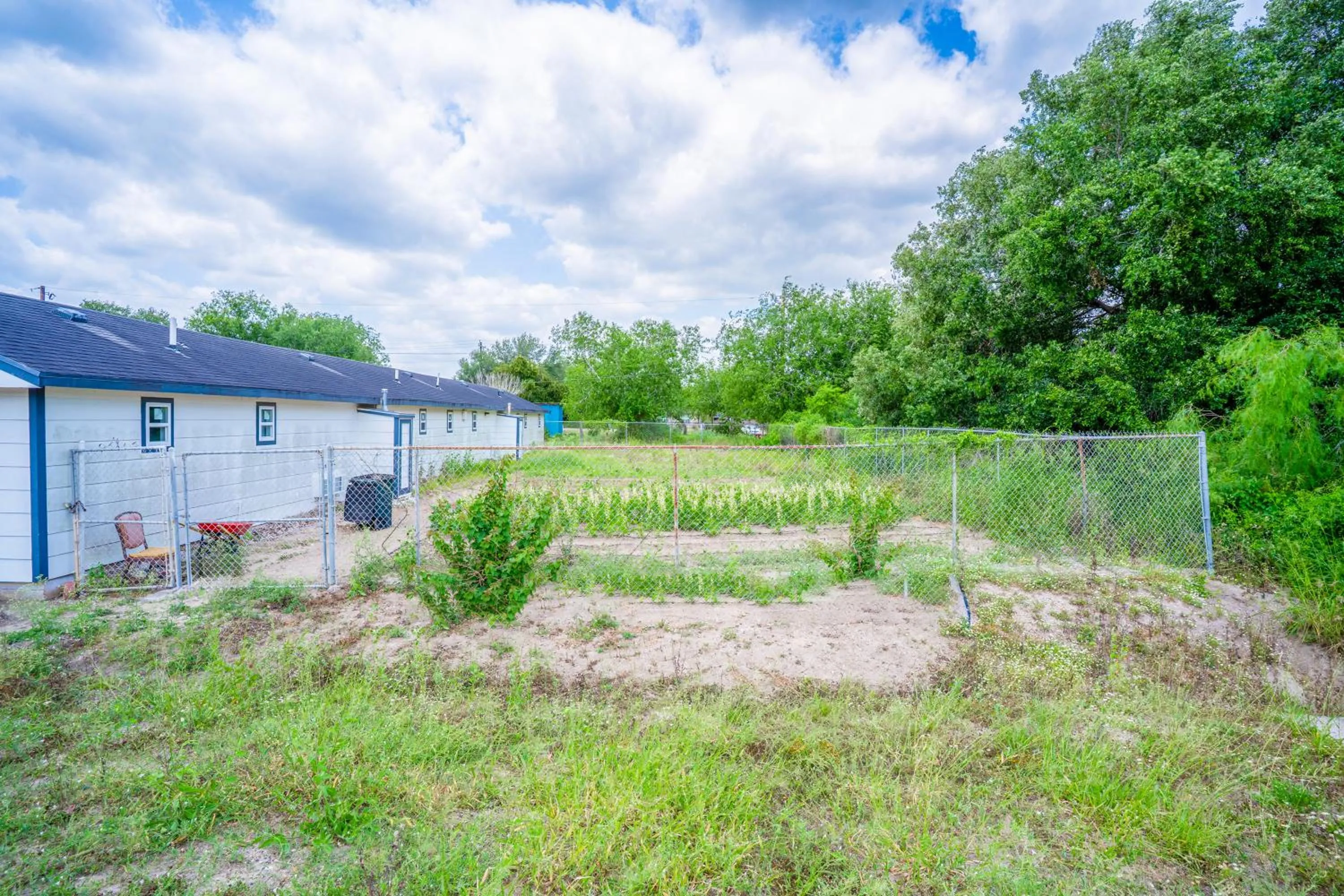 Garden in OYO Budget Inn Falfurrias Hwy 281