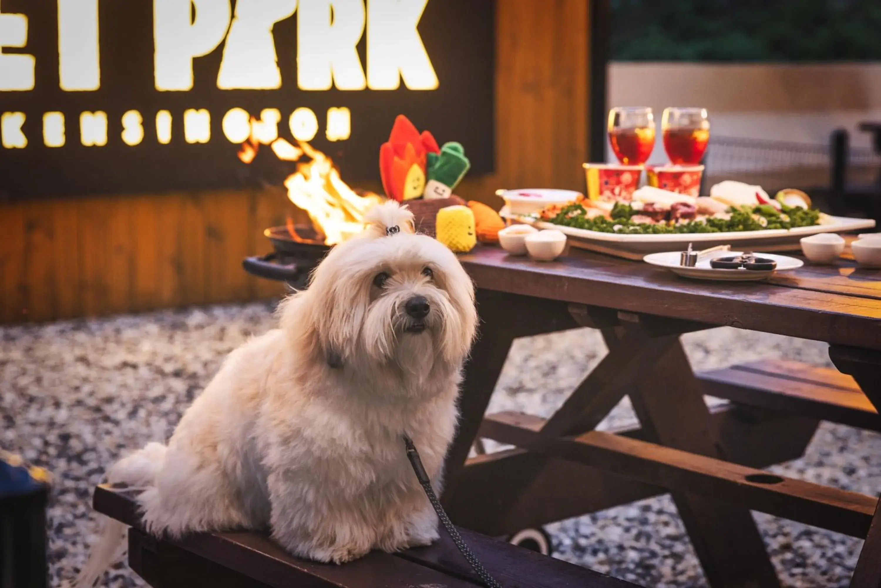 Restaurant/places to eat in Kensington Resort Chungju Restaurant/places to eat in Kensington Resort Chungju