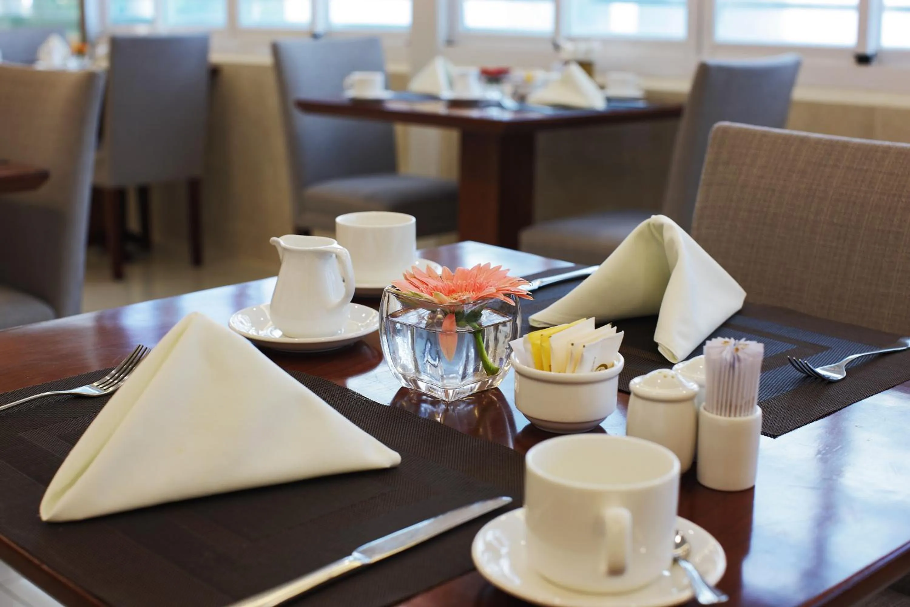 Restaurant/places to eat in Aristo Saigon Hotel