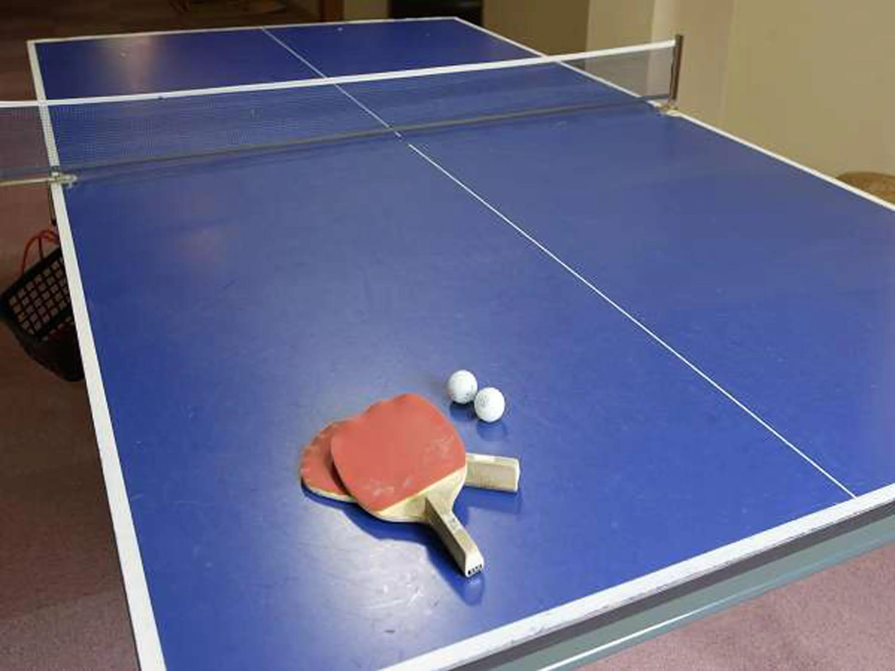 Table tennis in Kosenkaku Yoshinoya