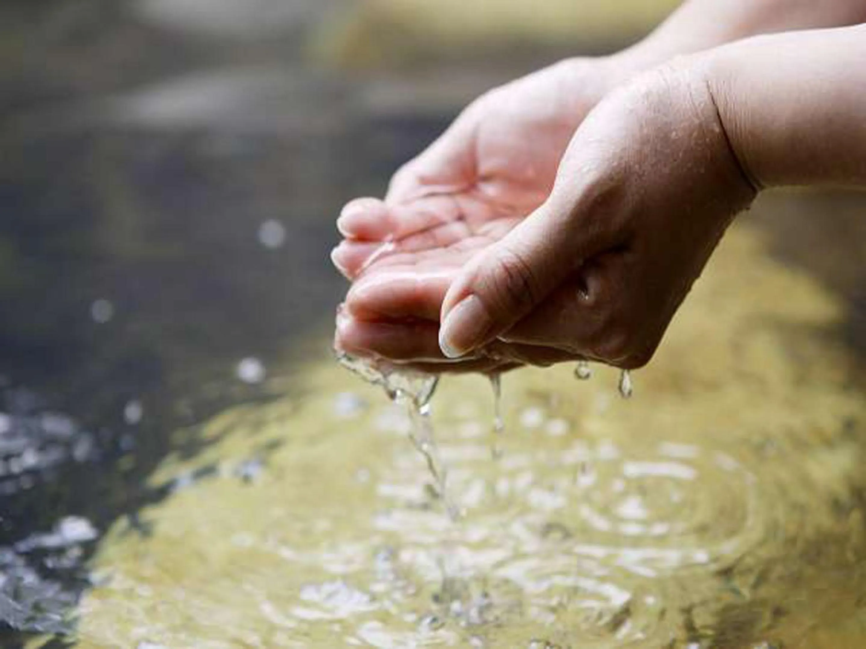 Hot Spring Bath in Kosenkaku Yoshinoya