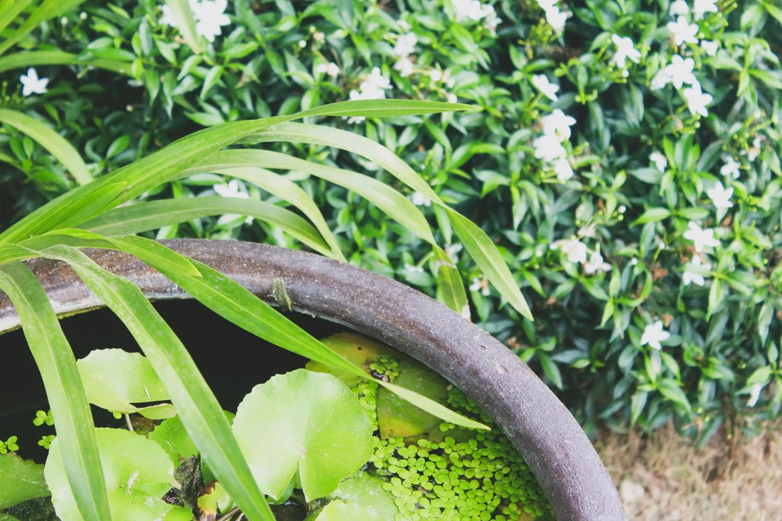 Garden view in Verona Lanta Resort