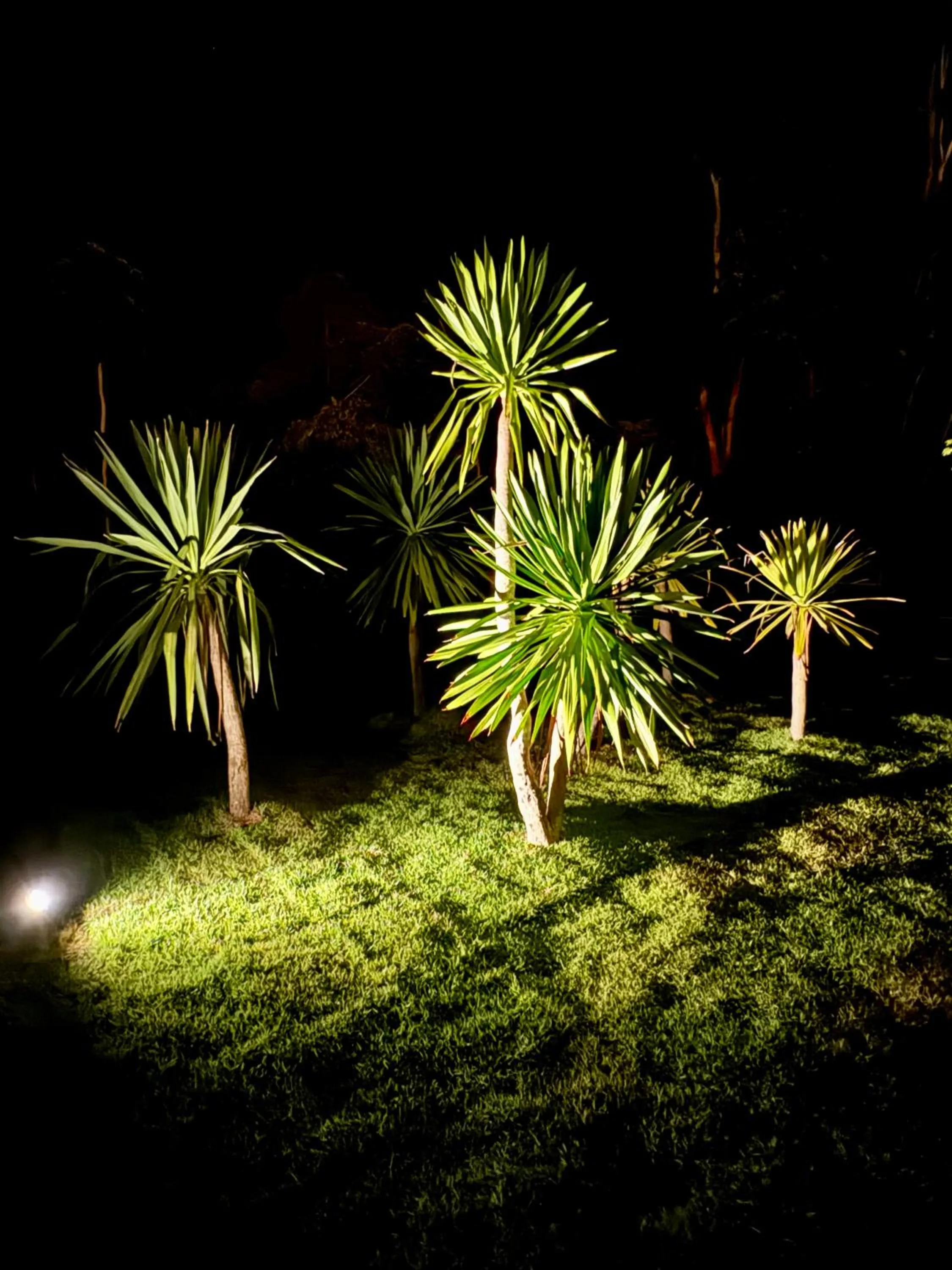 Garden view in Verona Lanta Resort