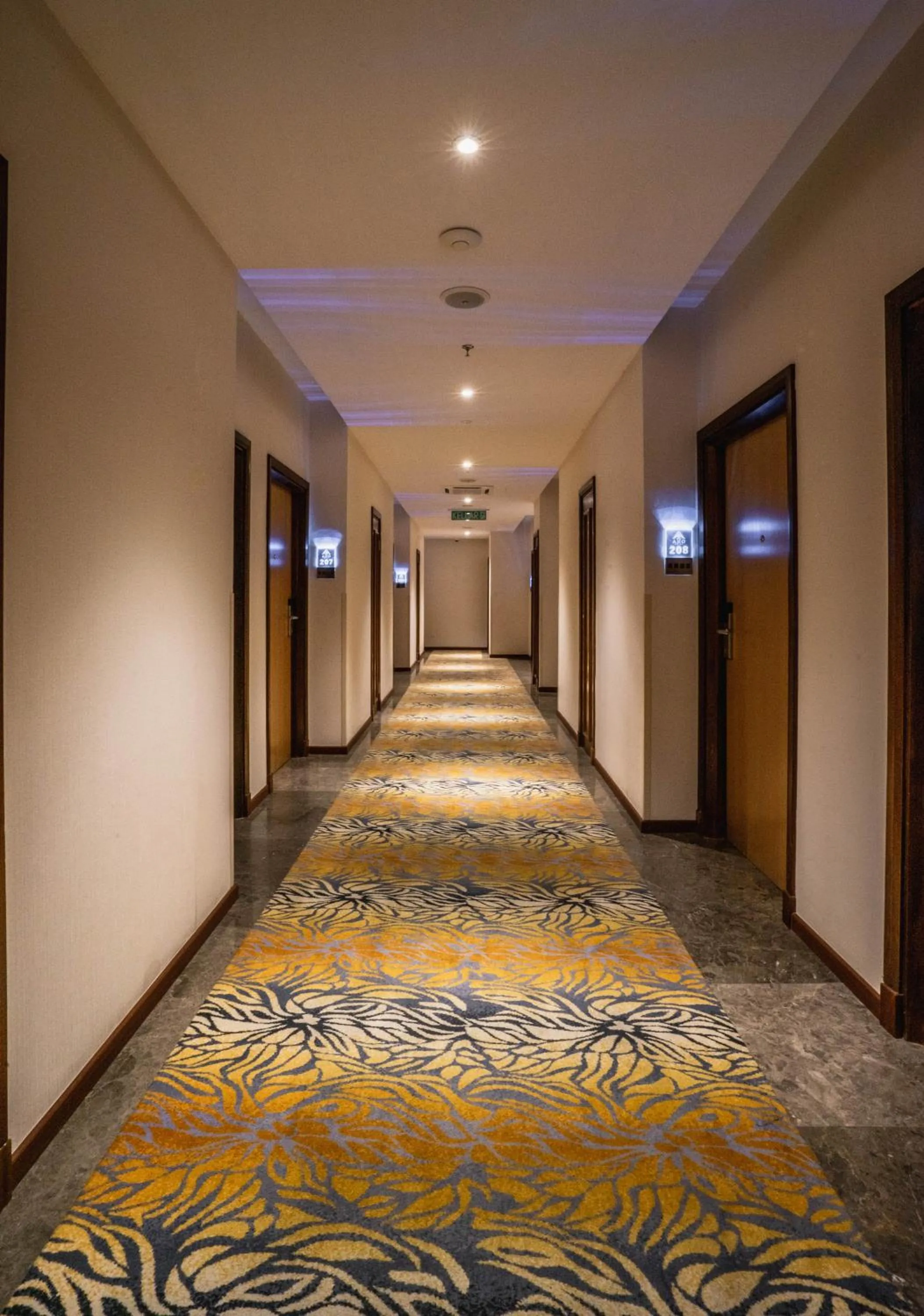 Area and facilities in Ano Hotel