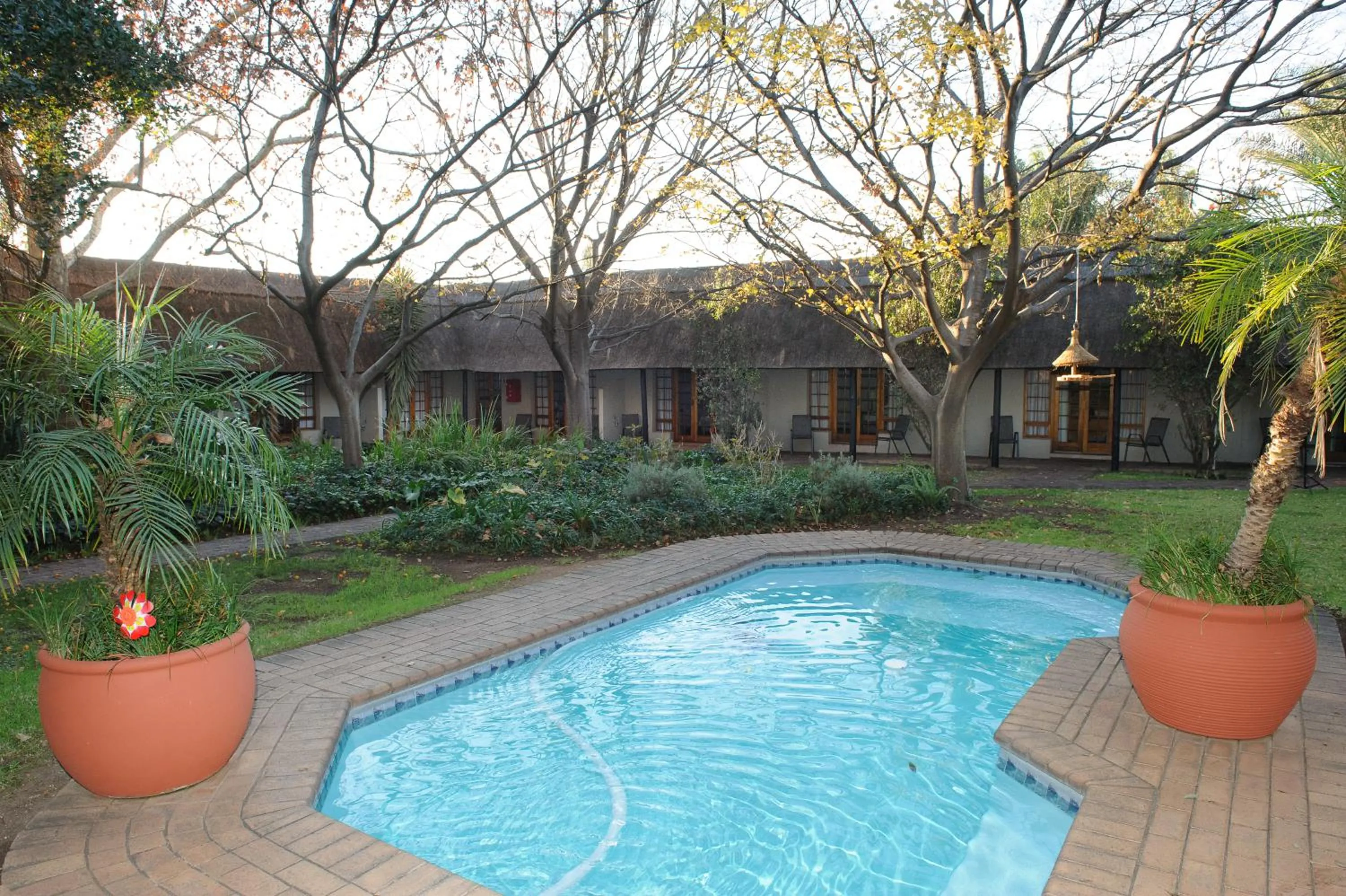 Swimming pool in Safari Club Guest Lodge OR Tambo International Airport