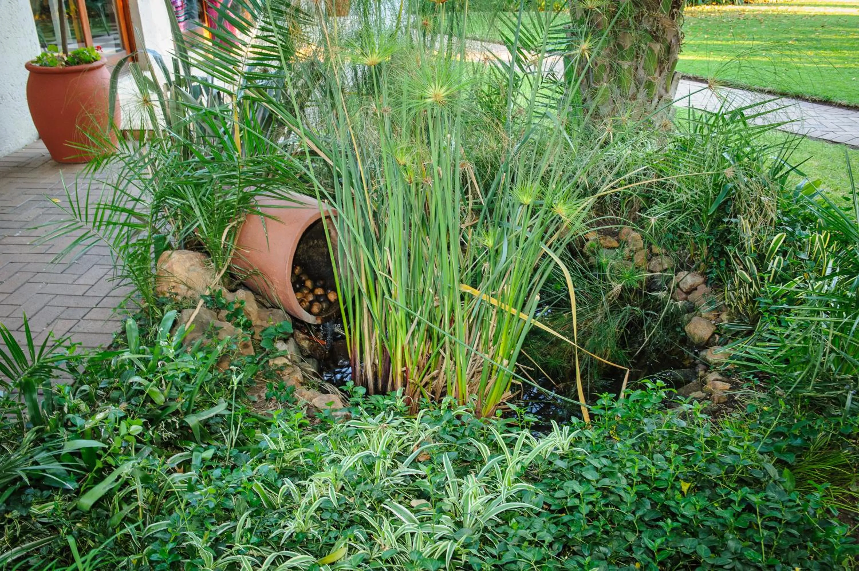 Property building in Safari Club Guest Lodge OR Tambo International Airport