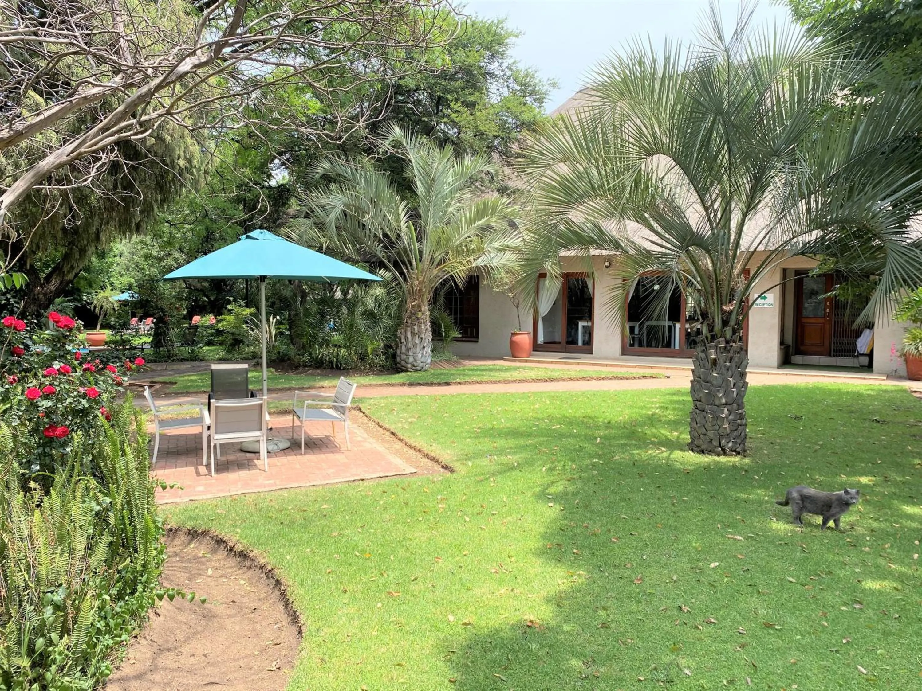 Lobby or reception in Safari Club Guest Lodge OR Tambo International Airport