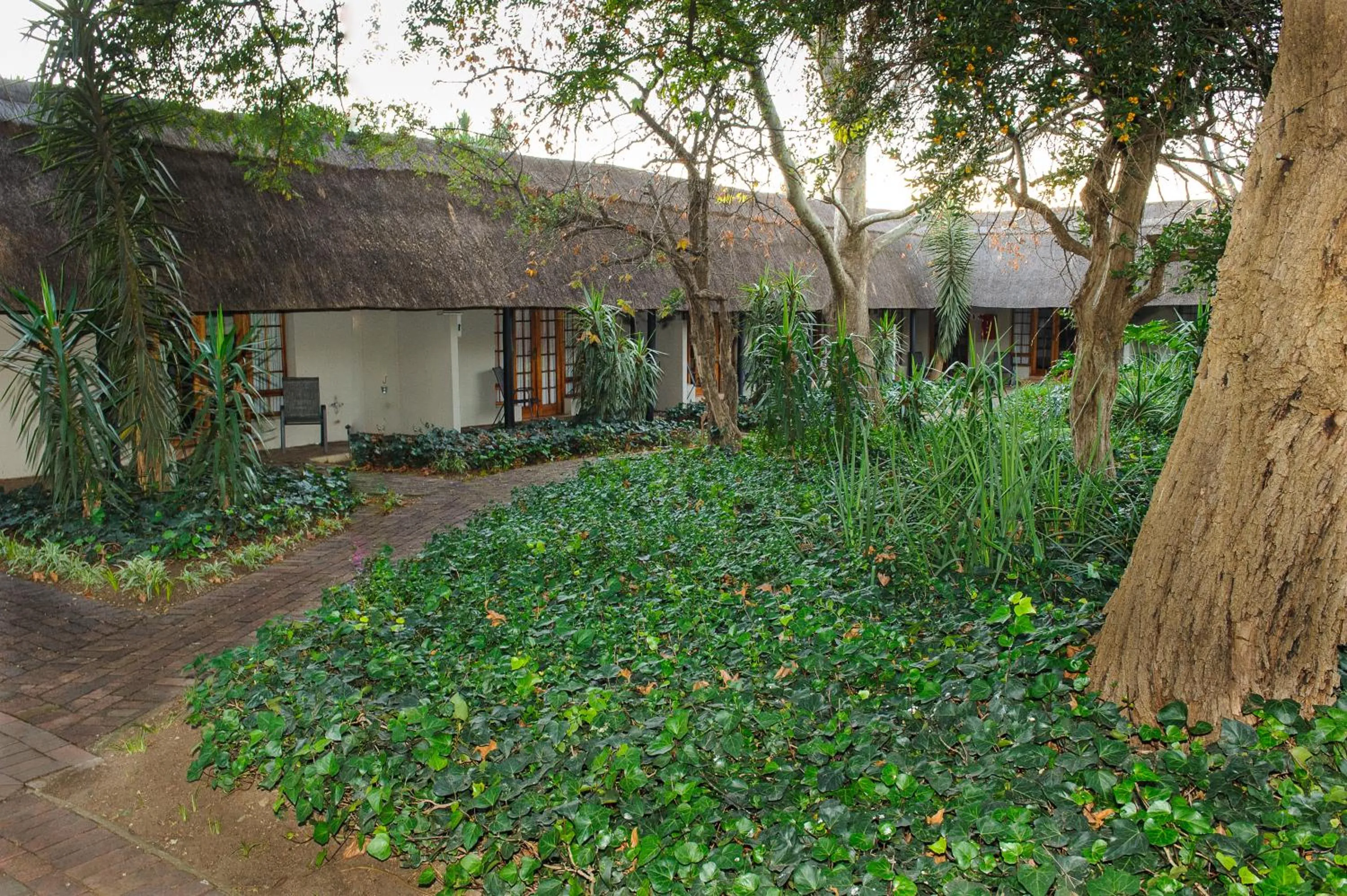 Property building in Safari Club Guest Lodge OR Tambo International Airport