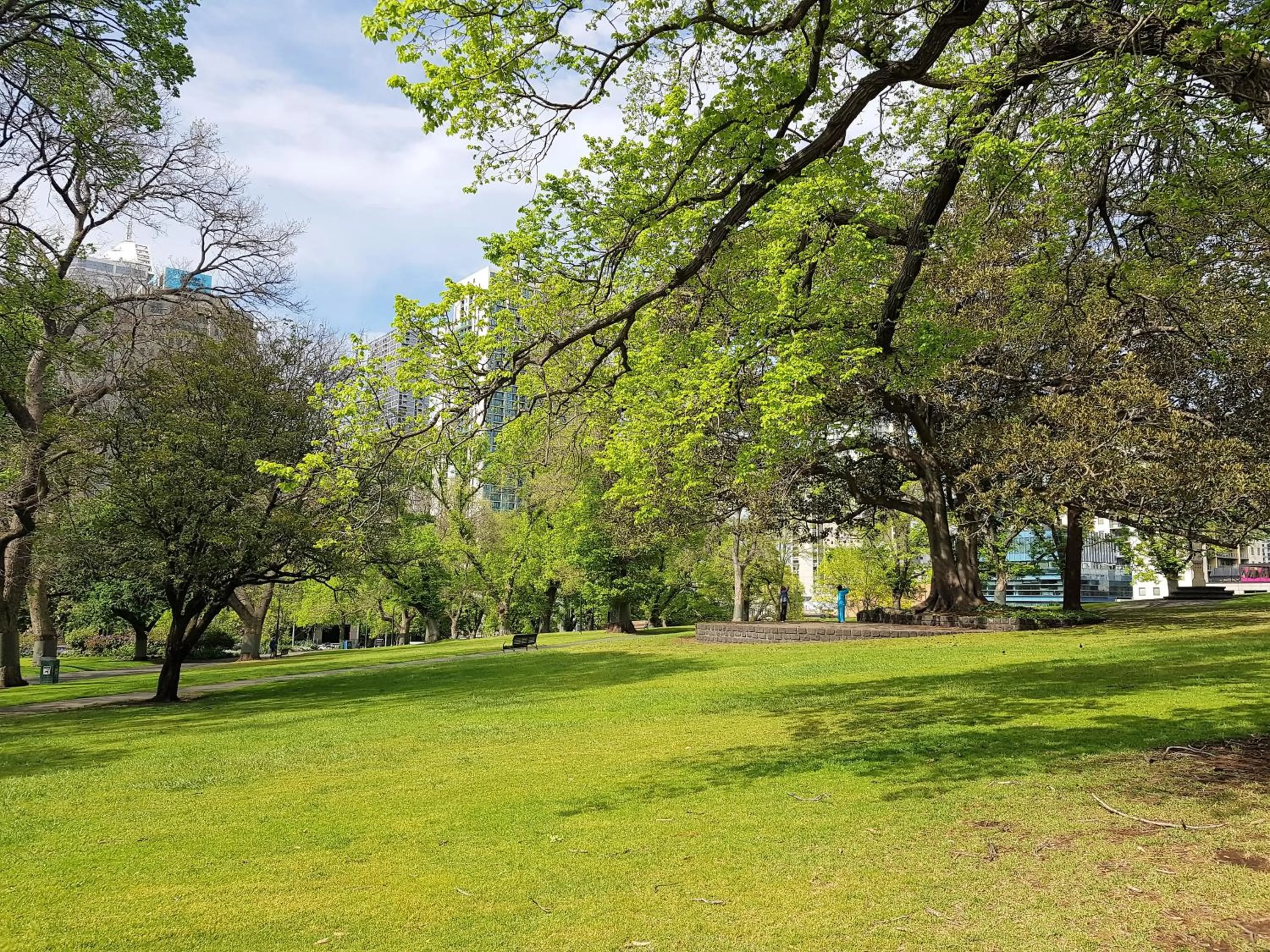 Natural landscape in ReadySet Apartments on King