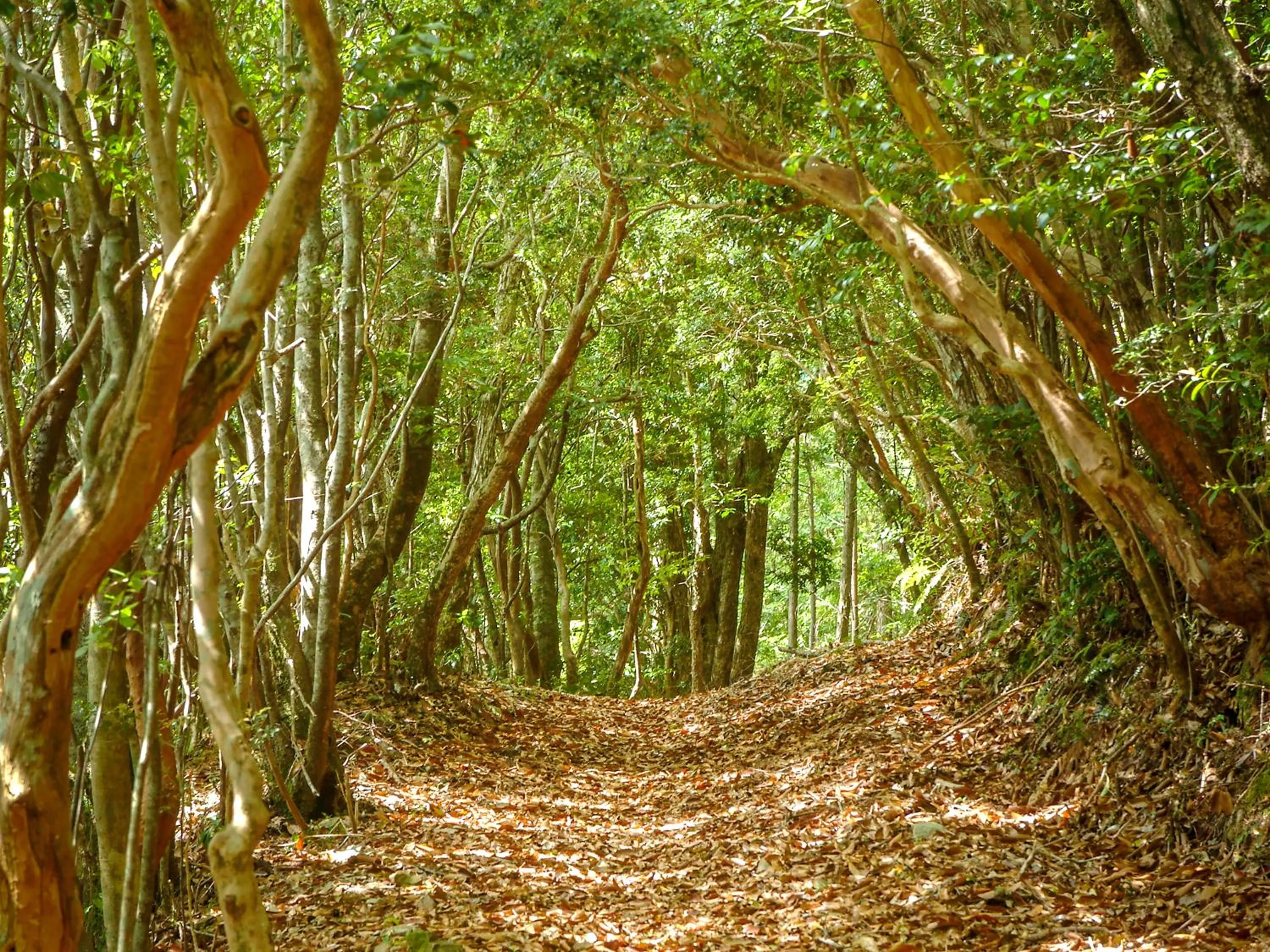 Hiking in Yunotani Senkei