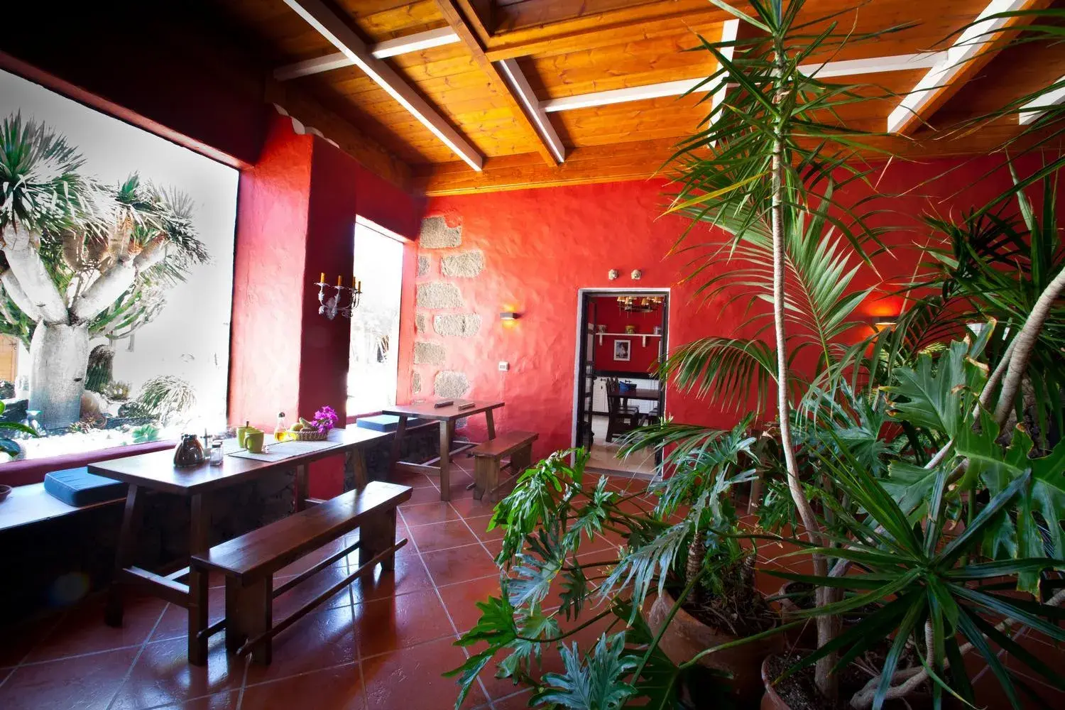 Restaurant/places to eat in Casa de Hilario Restaurant/places to eat in Casa de Hilario