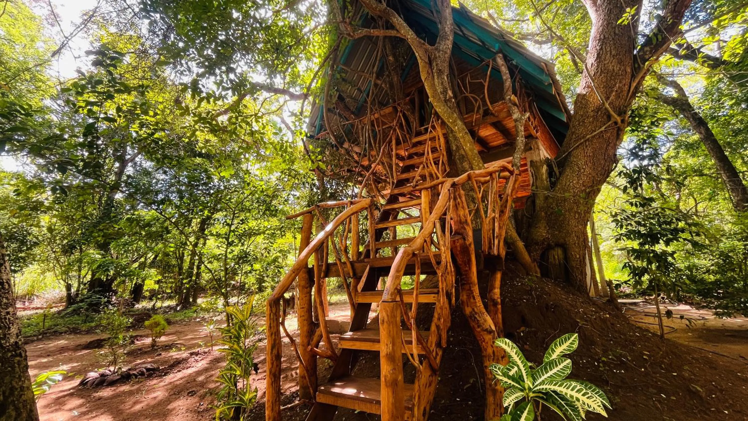 Ali Adi Eco Resort