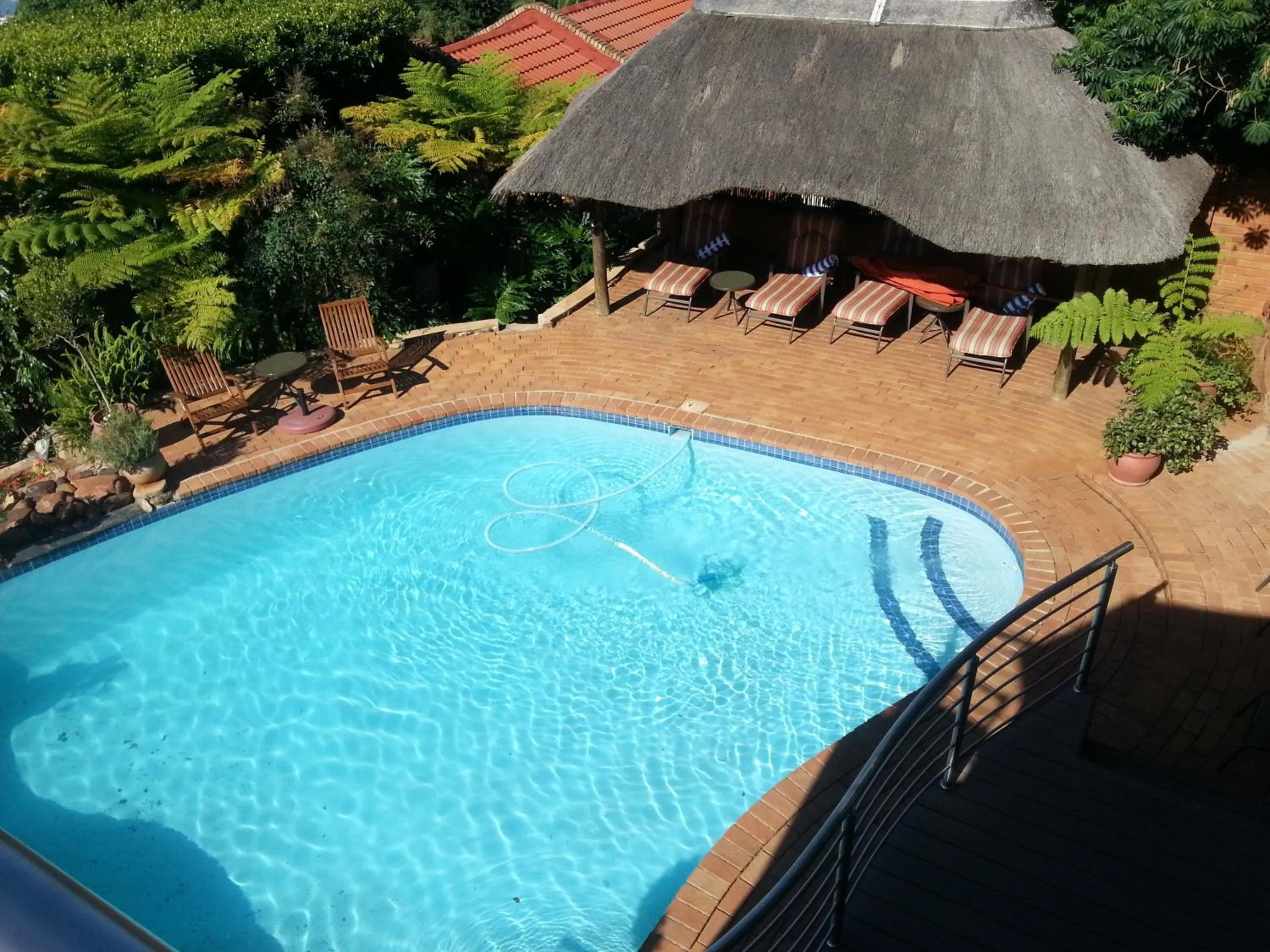 Pool view in Stirling Manor Boutique Guest House
