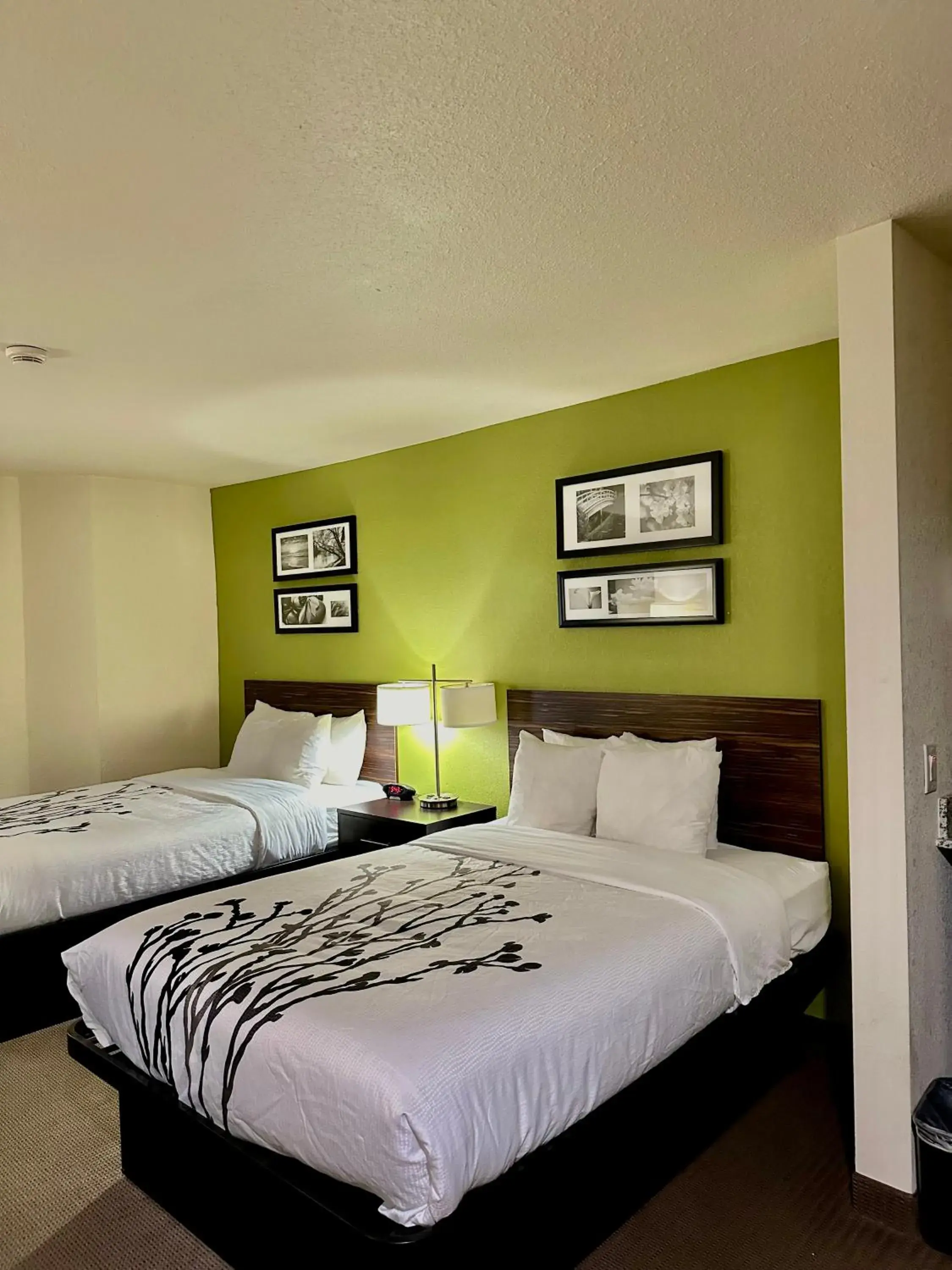 Double Room with Two Double Beds in Sleep Inn & Suites Tulsa Central I-44 Double Room with Two Double Beds in Sleep Inn & Suites Tulsa Central I-44