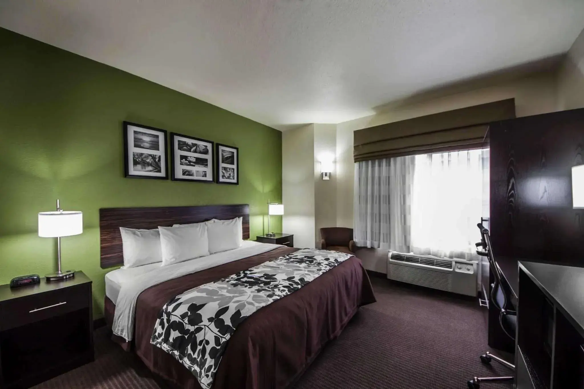 Photo of the whole room, Bed in Sleep Inn And Suites Central / I-44