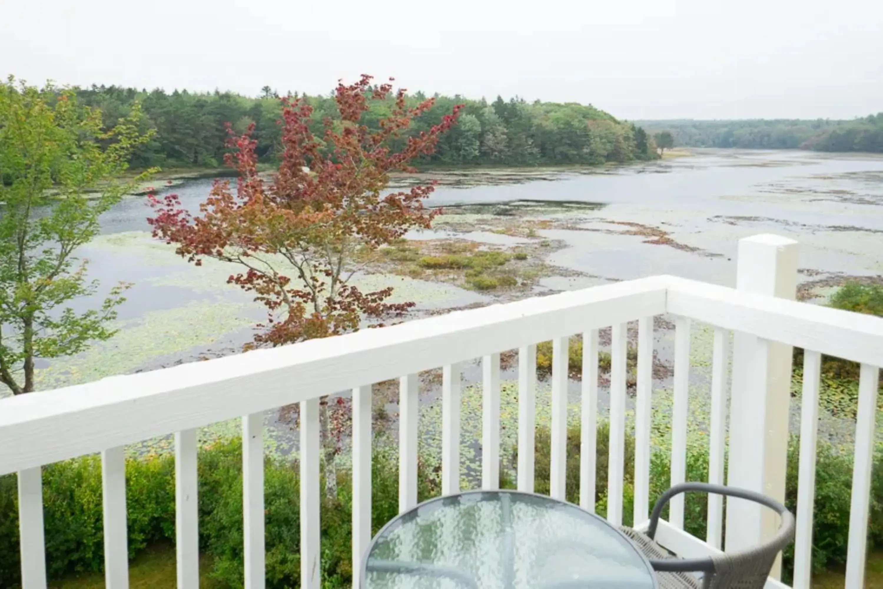 View (from property/room) in Sebasco Harbor Resort & Golf Club View (from property/room) in Sebasco Harbor Resort & Golf Club