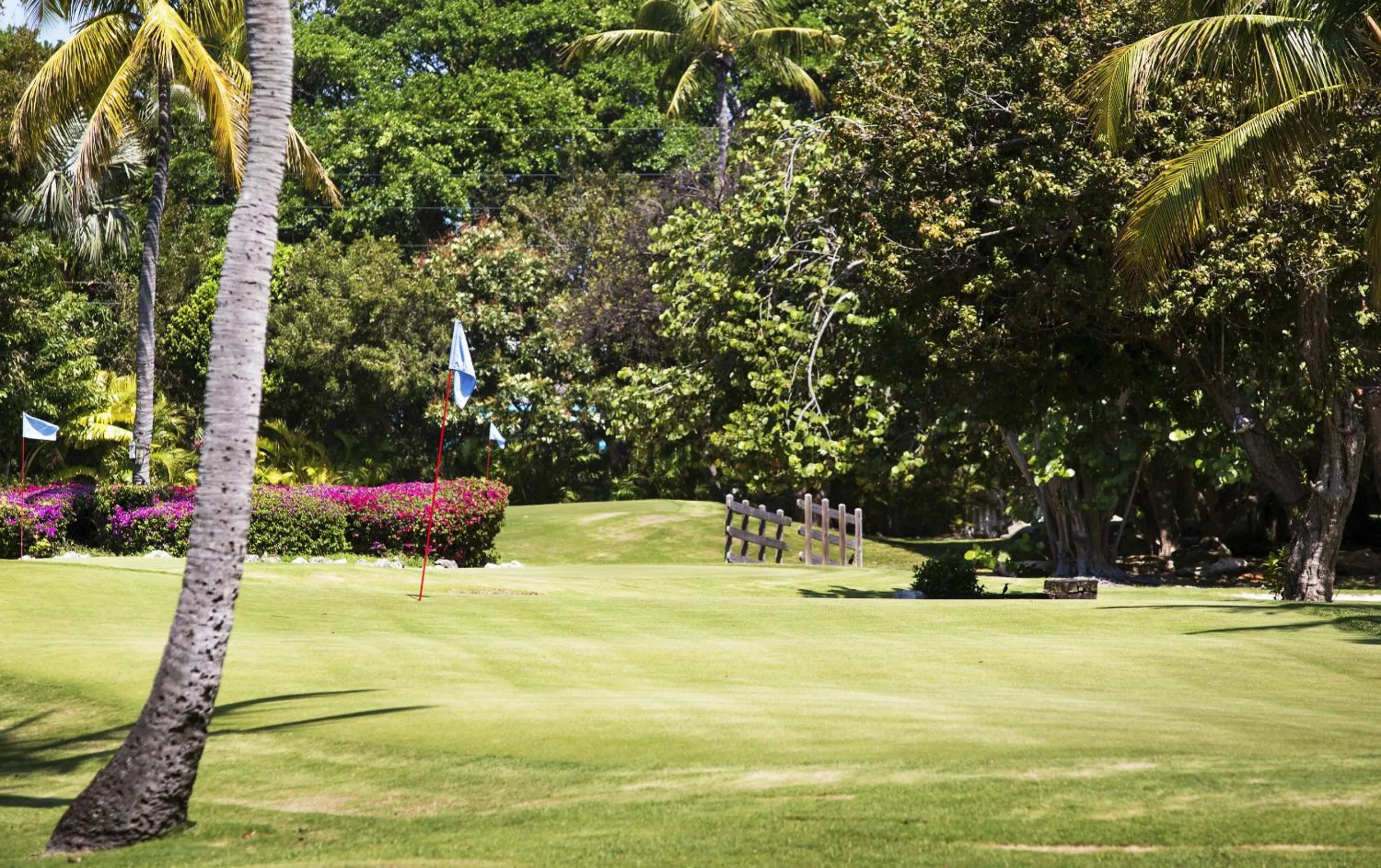 Golfcourse in Cheeca Lodge & Spa