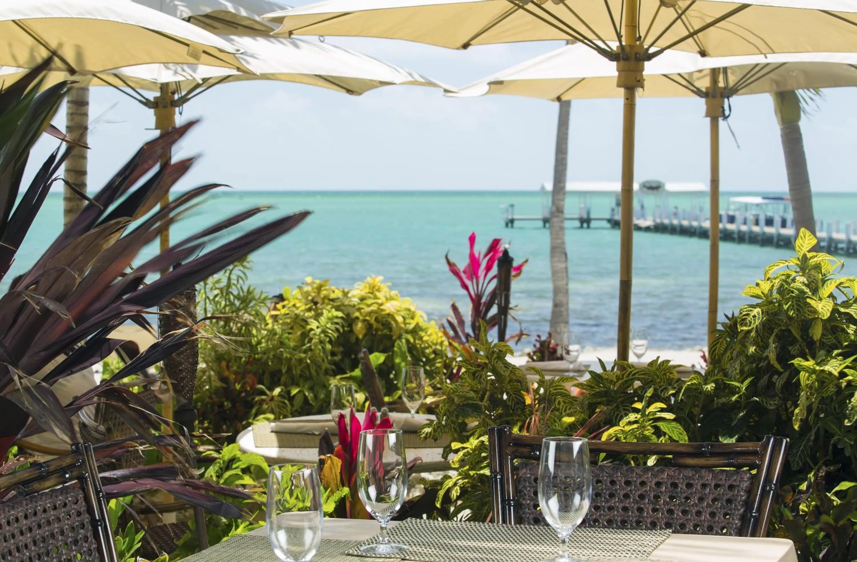 Restaurant/places to eat in Cheeca Lodge & Spa