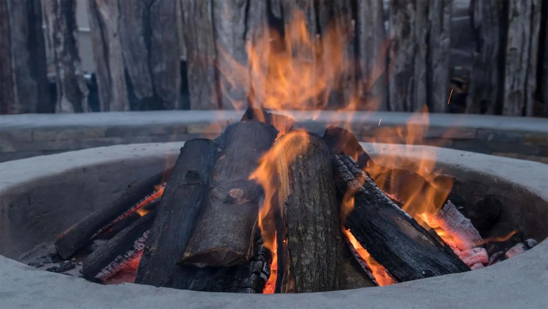 BBQ facilities in Luxury Backpackers