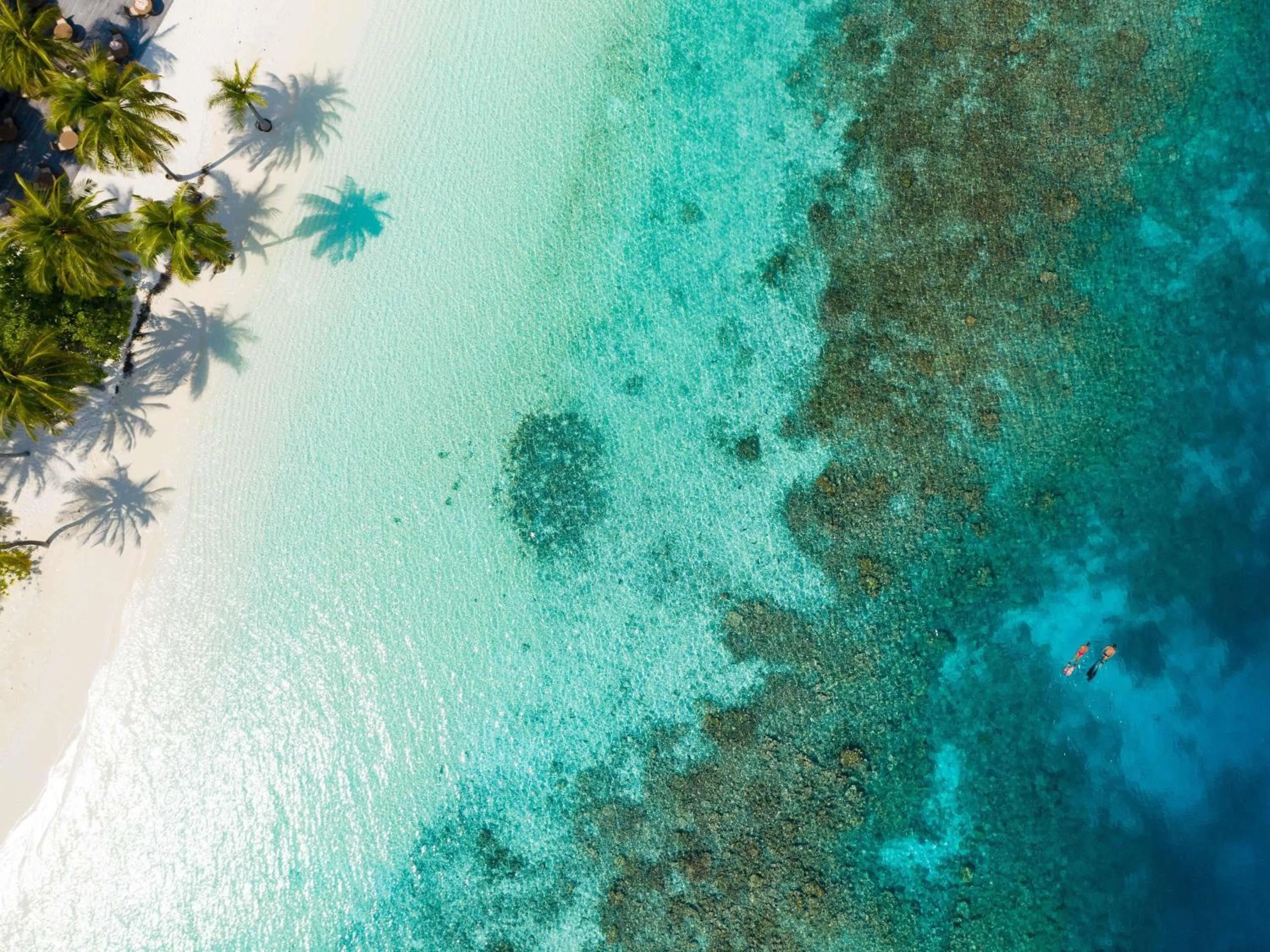 Other in V Villas Maldives at Mirihi - MGallery Collection