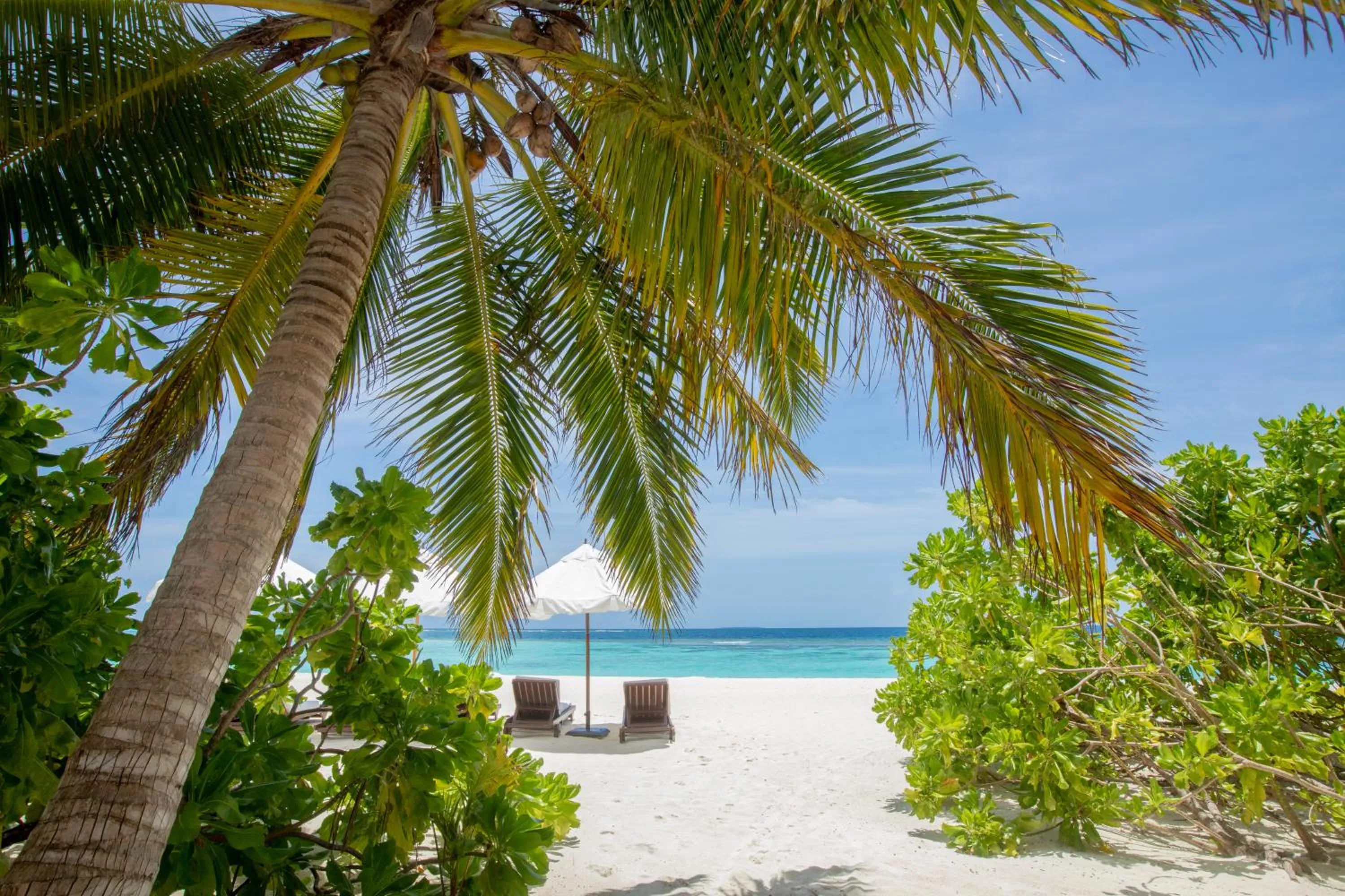 Beach in V Villas Maldives at Mirihi - MGallery Collection