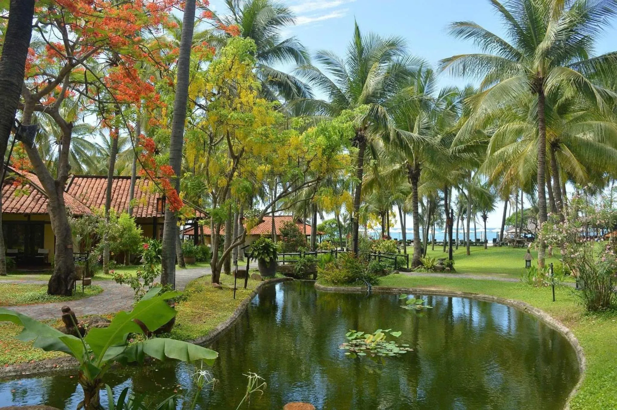 Garden in Seahorse Resort & Spa