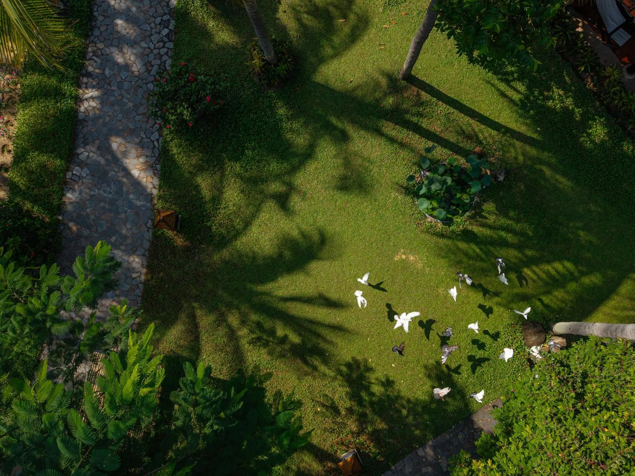 Garden in Seahorse Resort & Spa