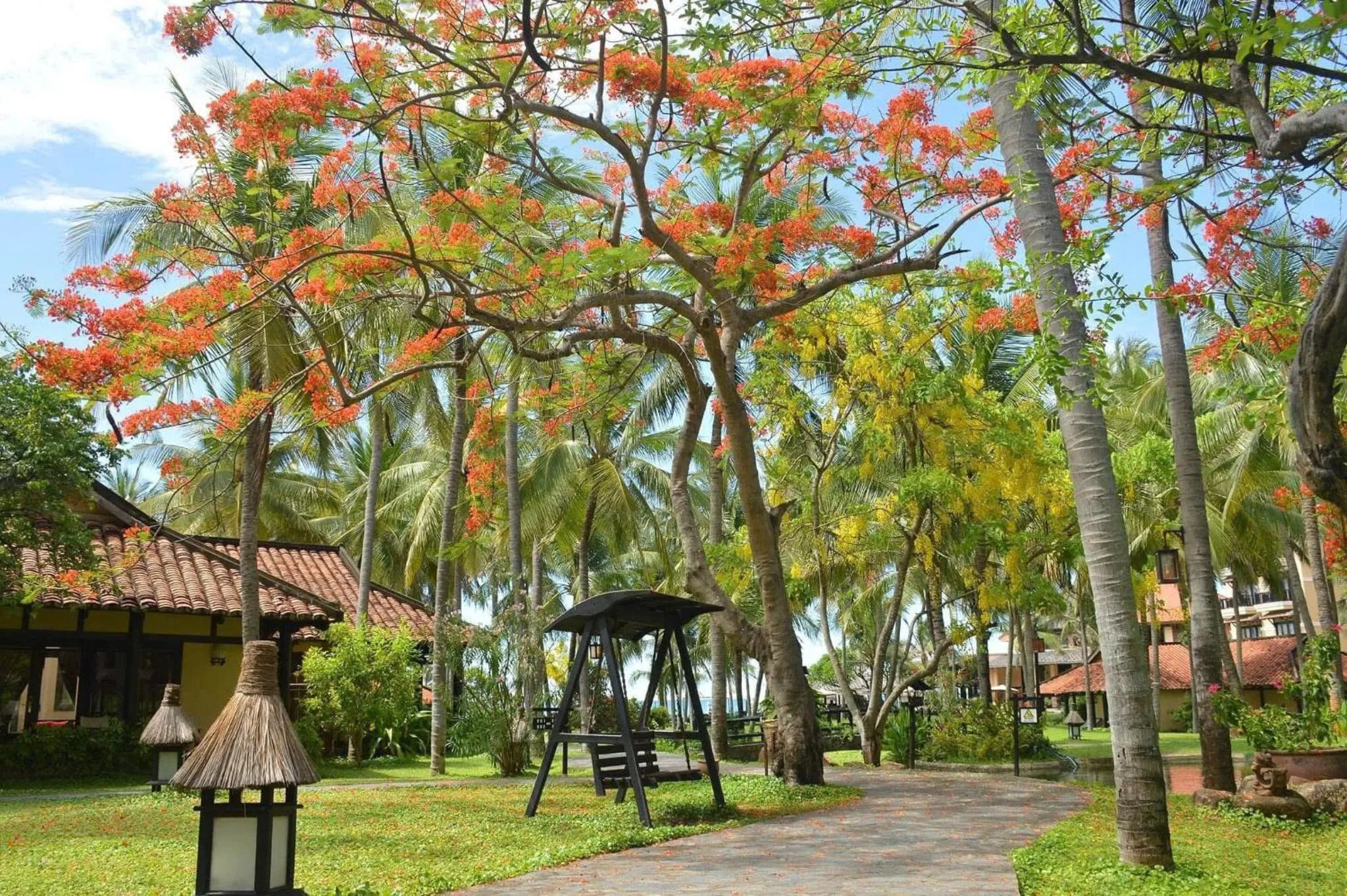 Garden in Seahorse Resort & Spa