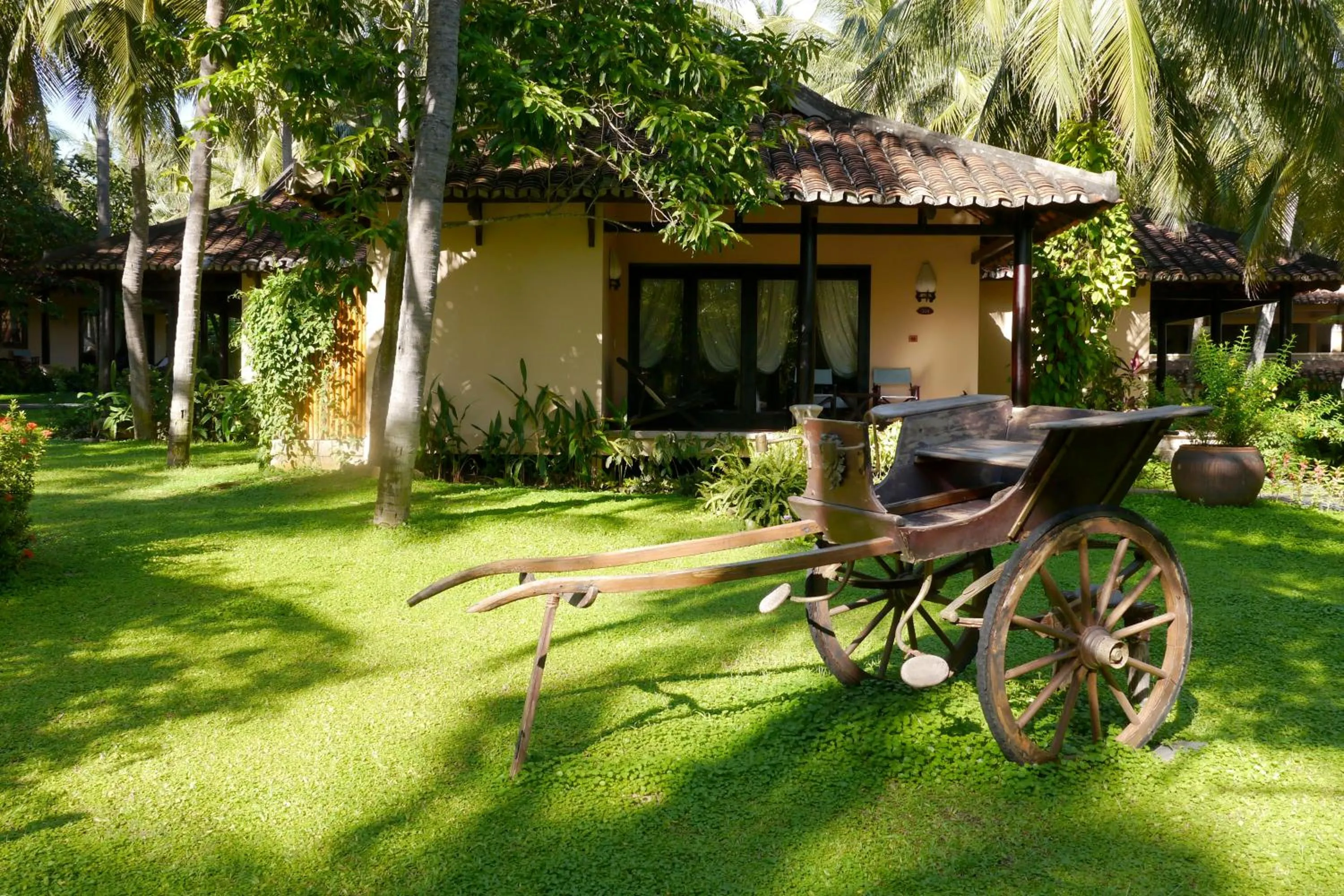 Garden in Seahorse Resort & Spa