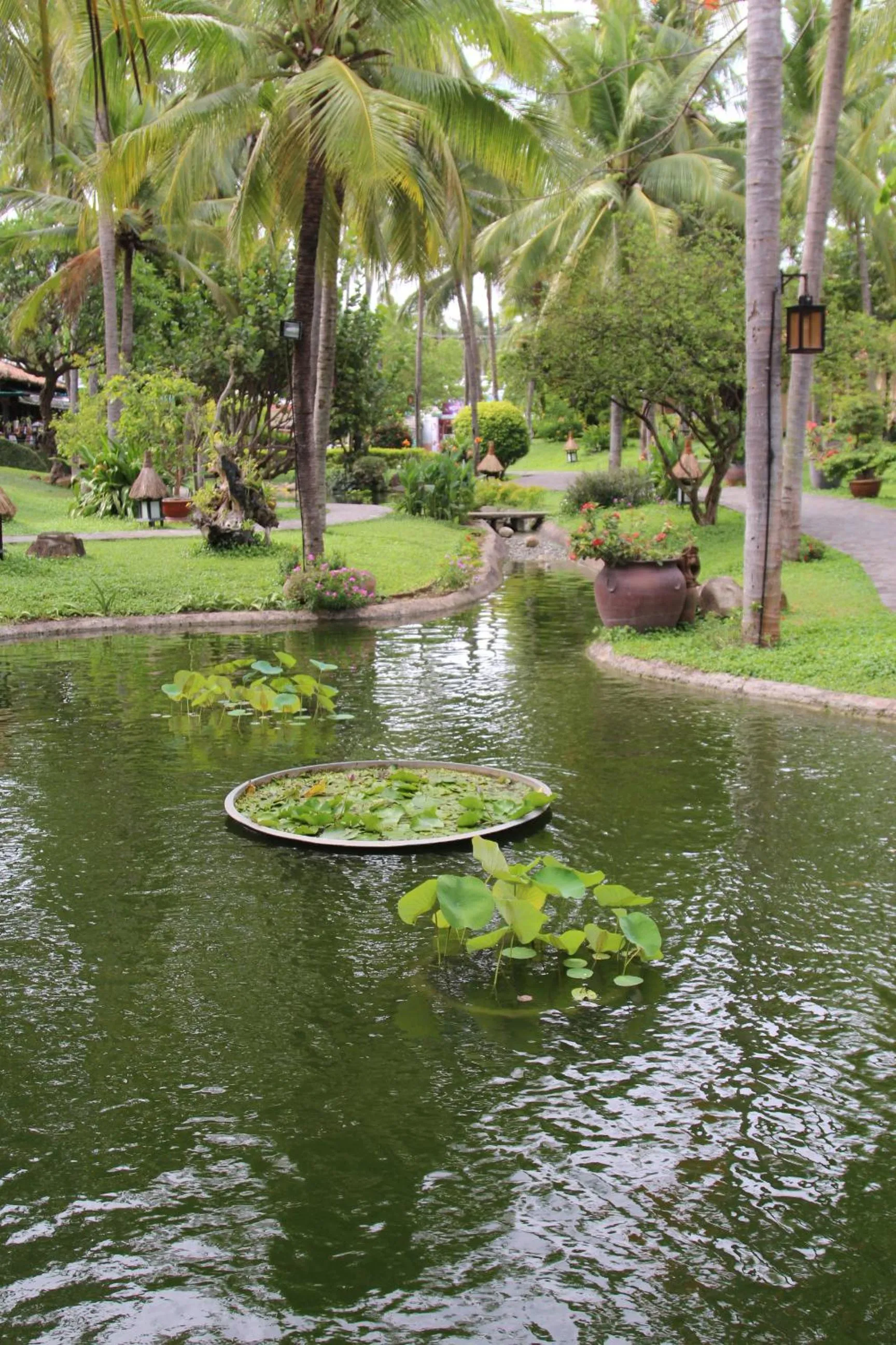 Garden in Seahorse Resort & Spa