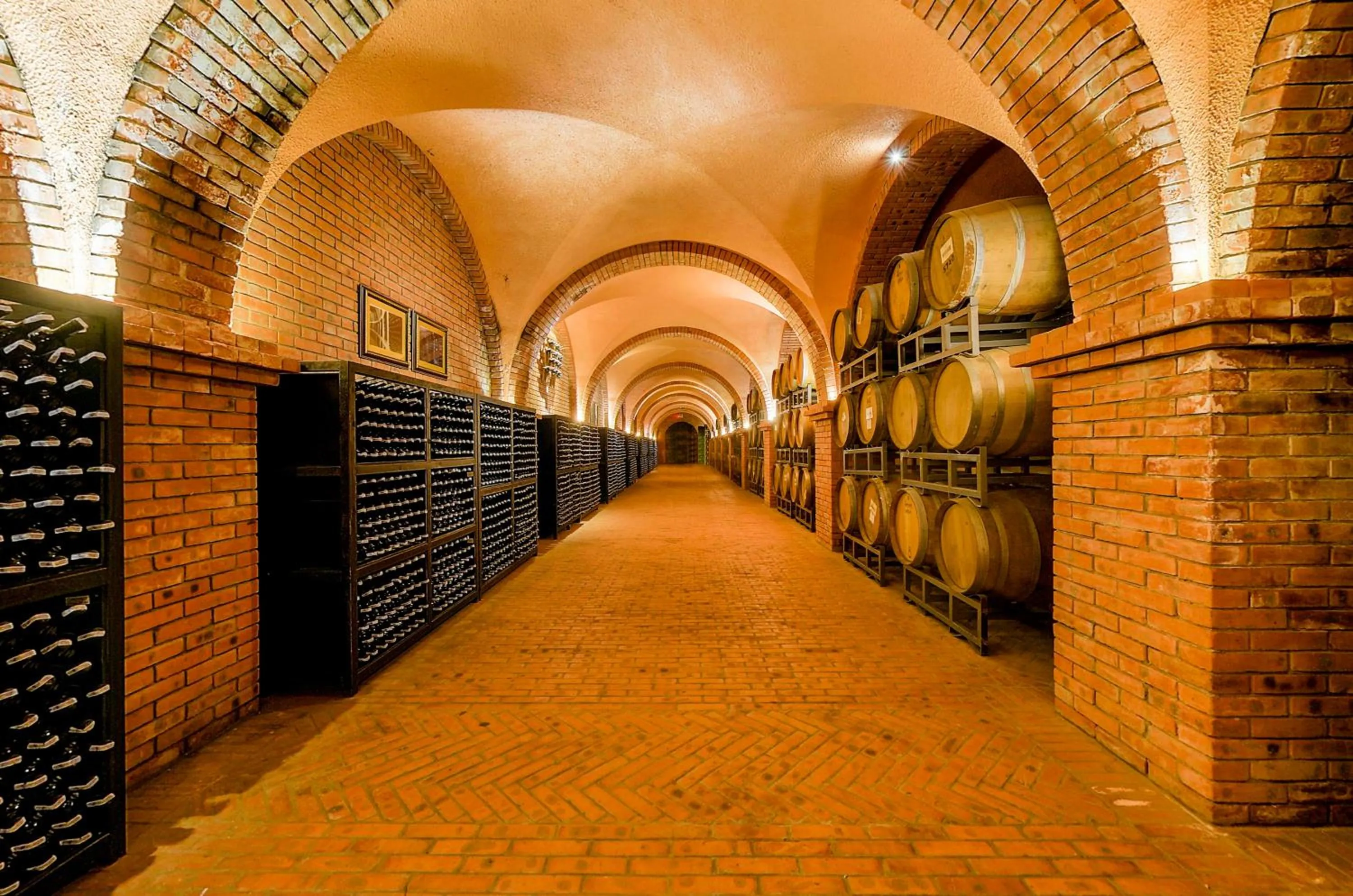 Area and facilities in Sea Links Beach Hotel