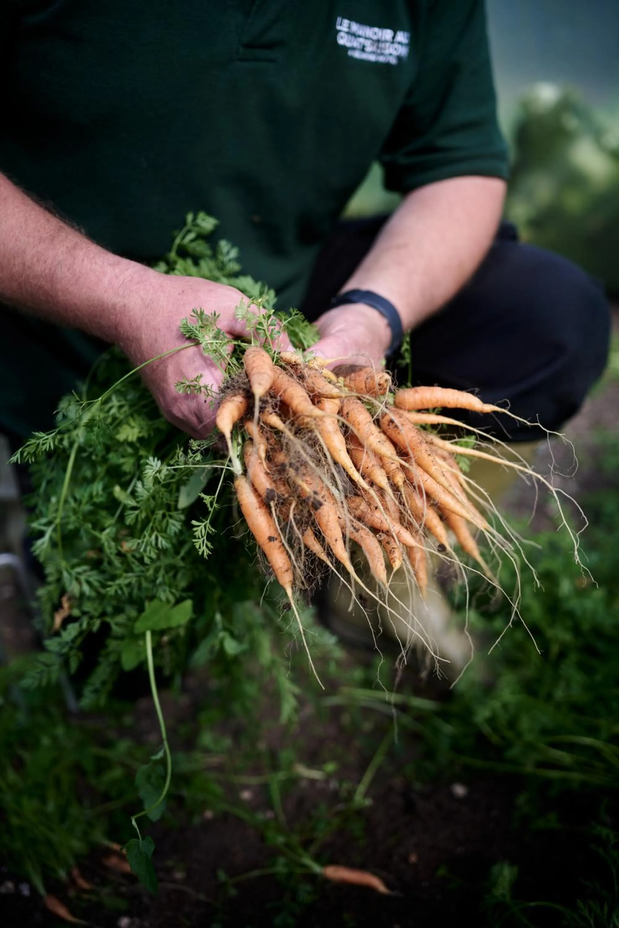 Garden in Le Manoir aux Quat'Saisons, A Belmond Hotel, Oxfordshire