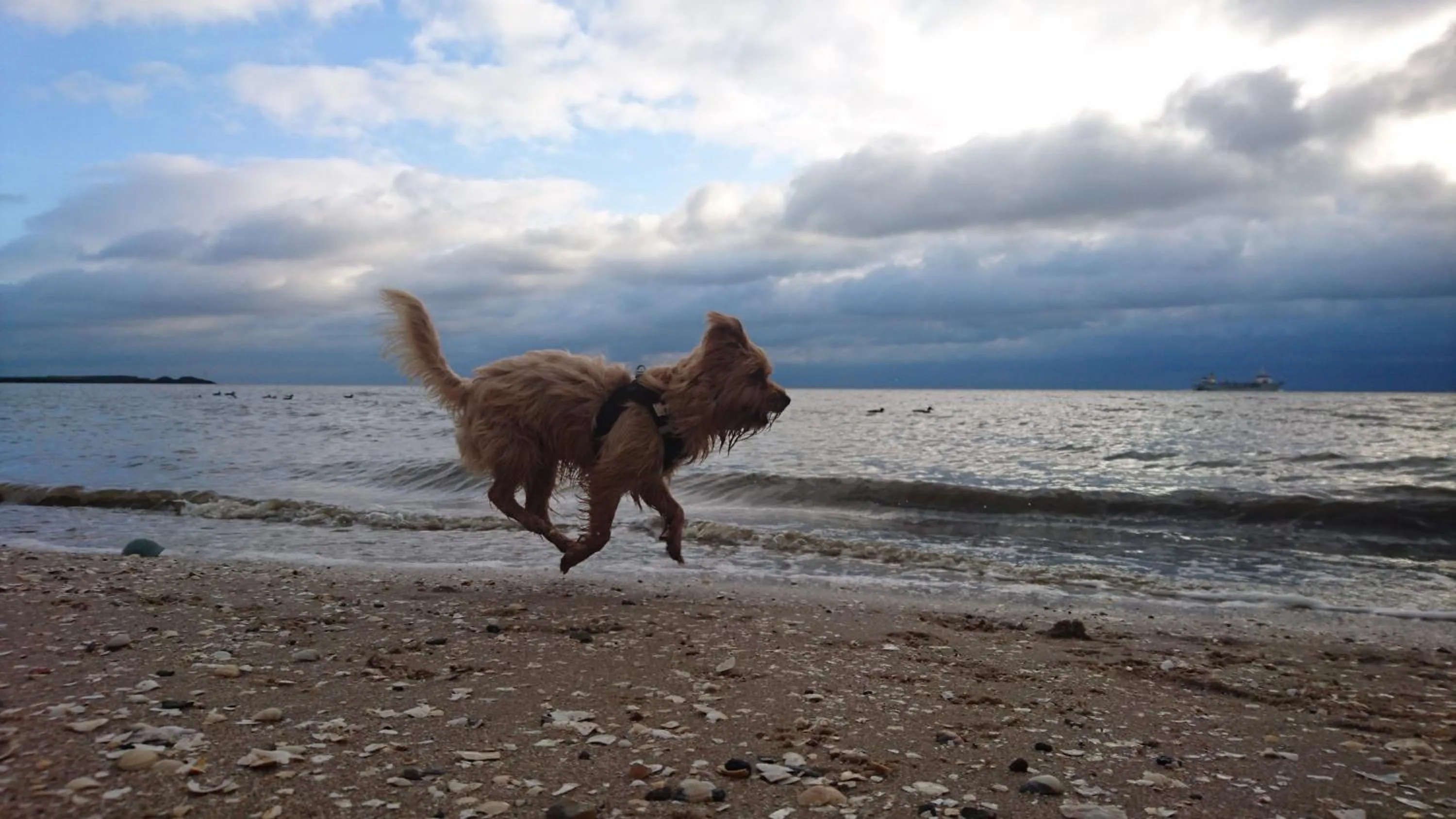 Day in Hotel Deichvoigt