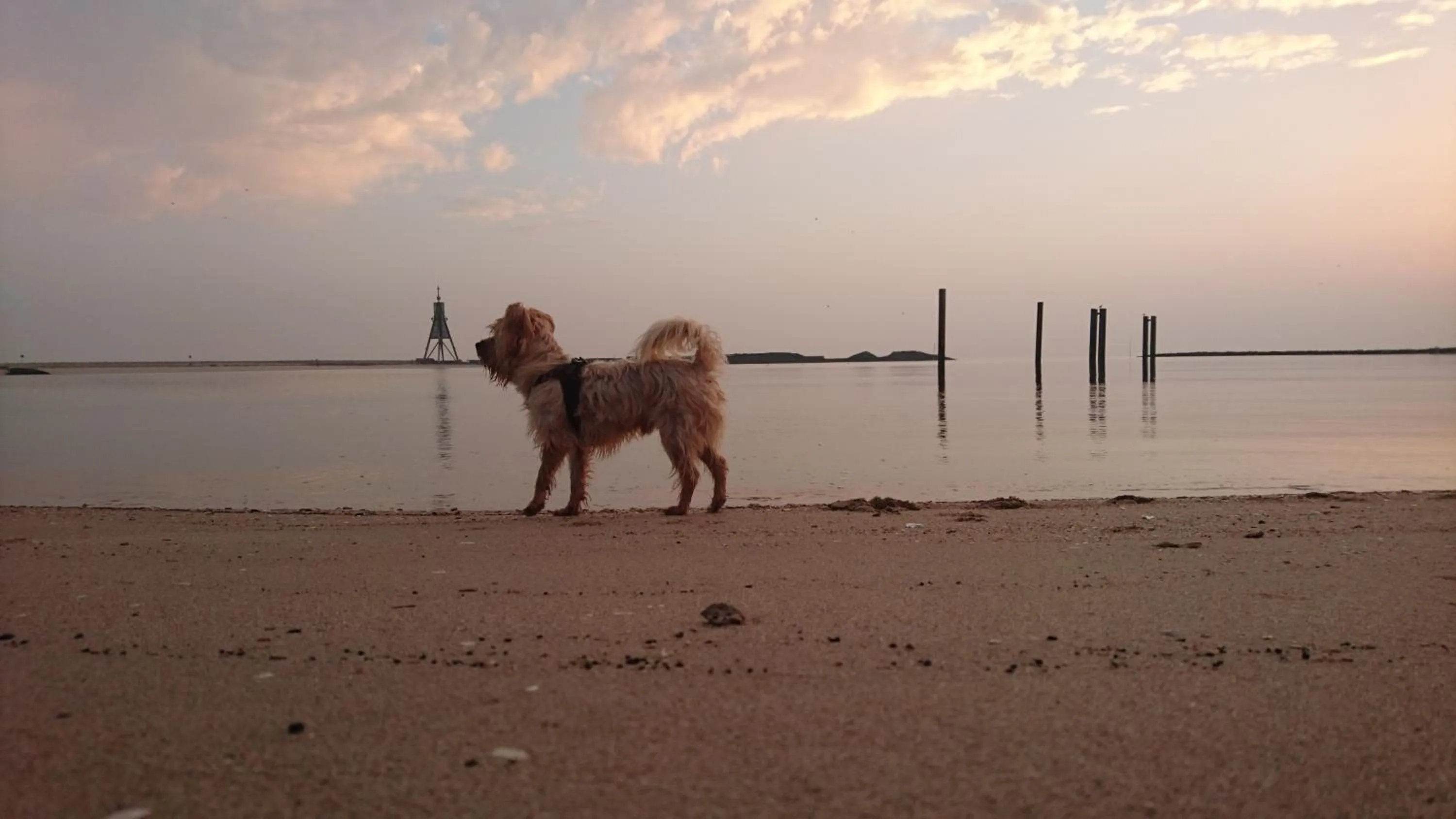 Day in Hotel Deichvoigt