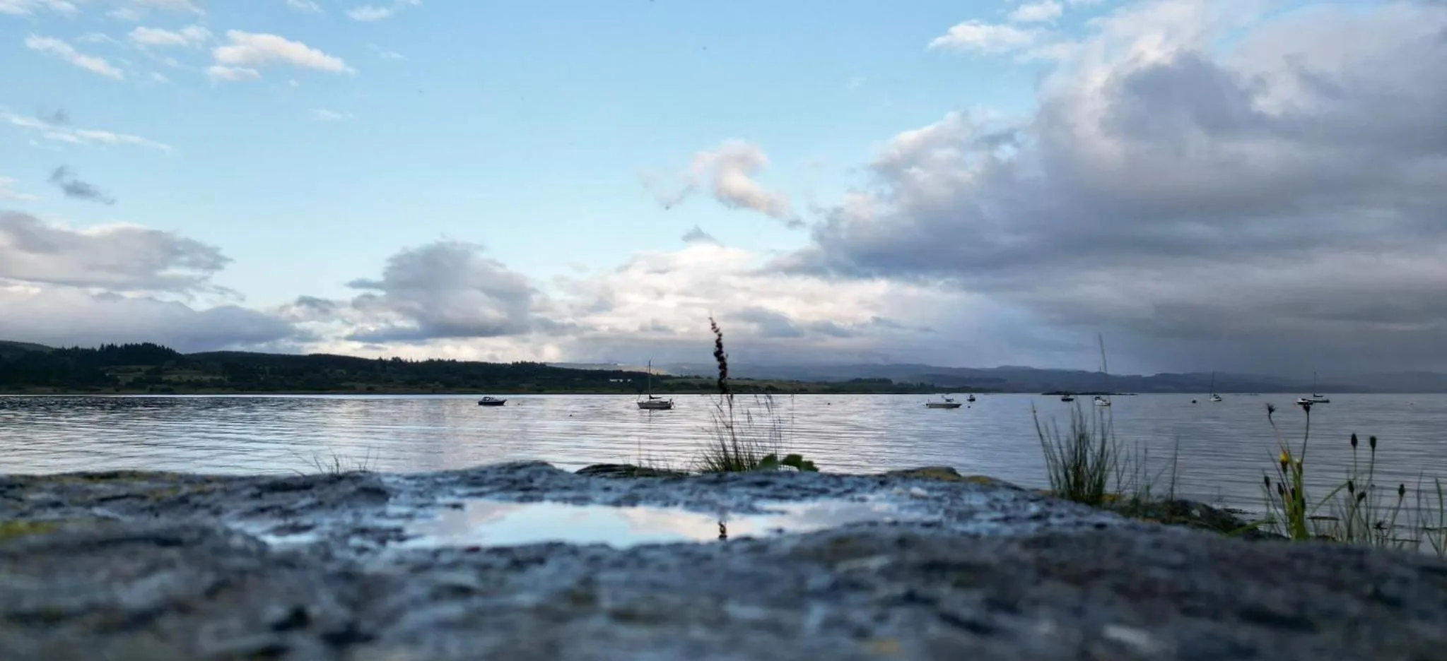 Sea view in The Grey Gull Hotel