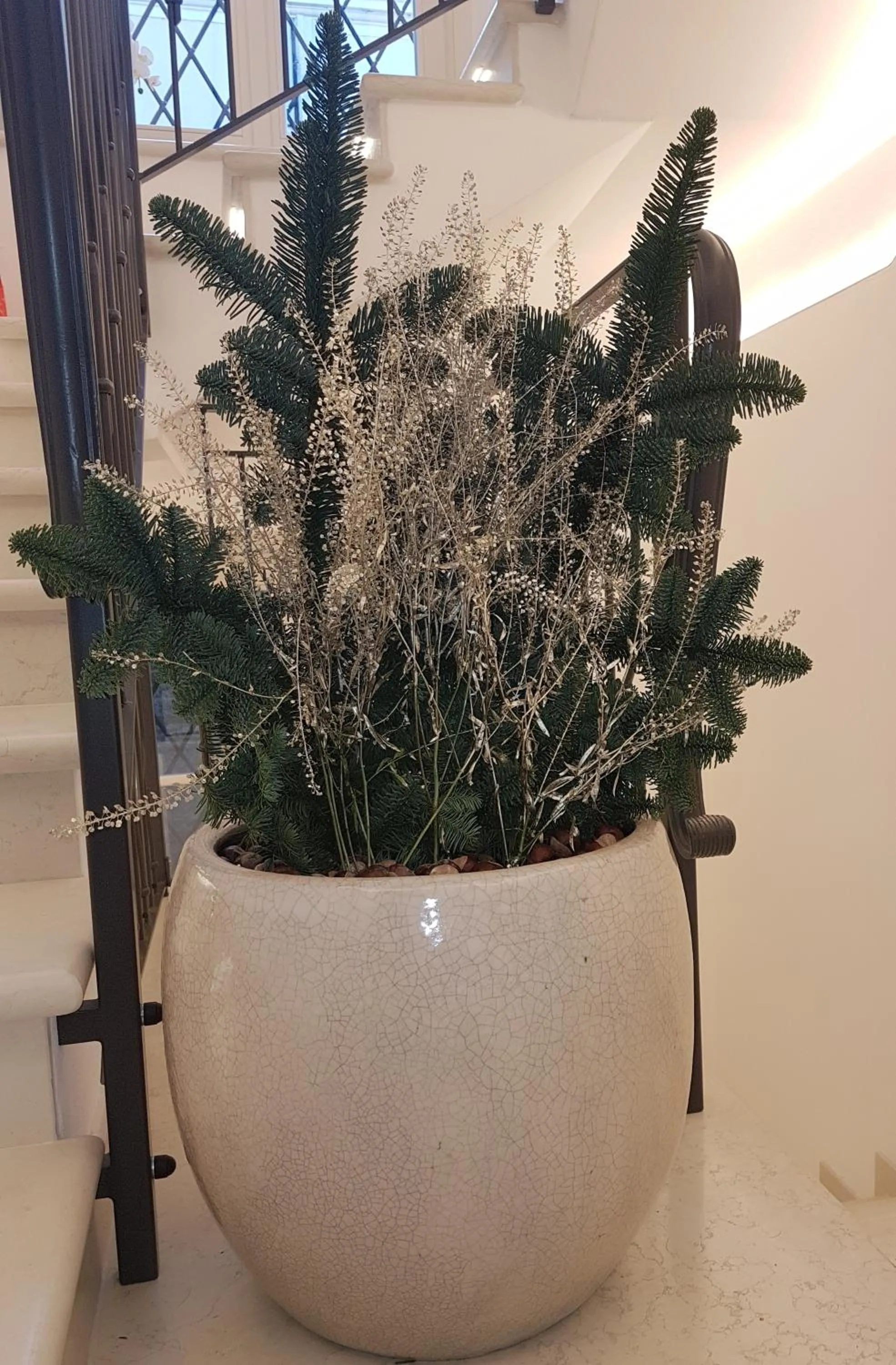 Lobby or reception in Accademia 21