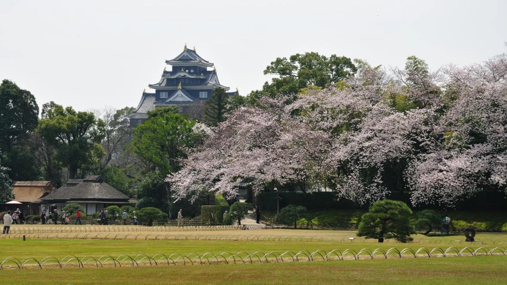 Off site in Okayama View Hotel