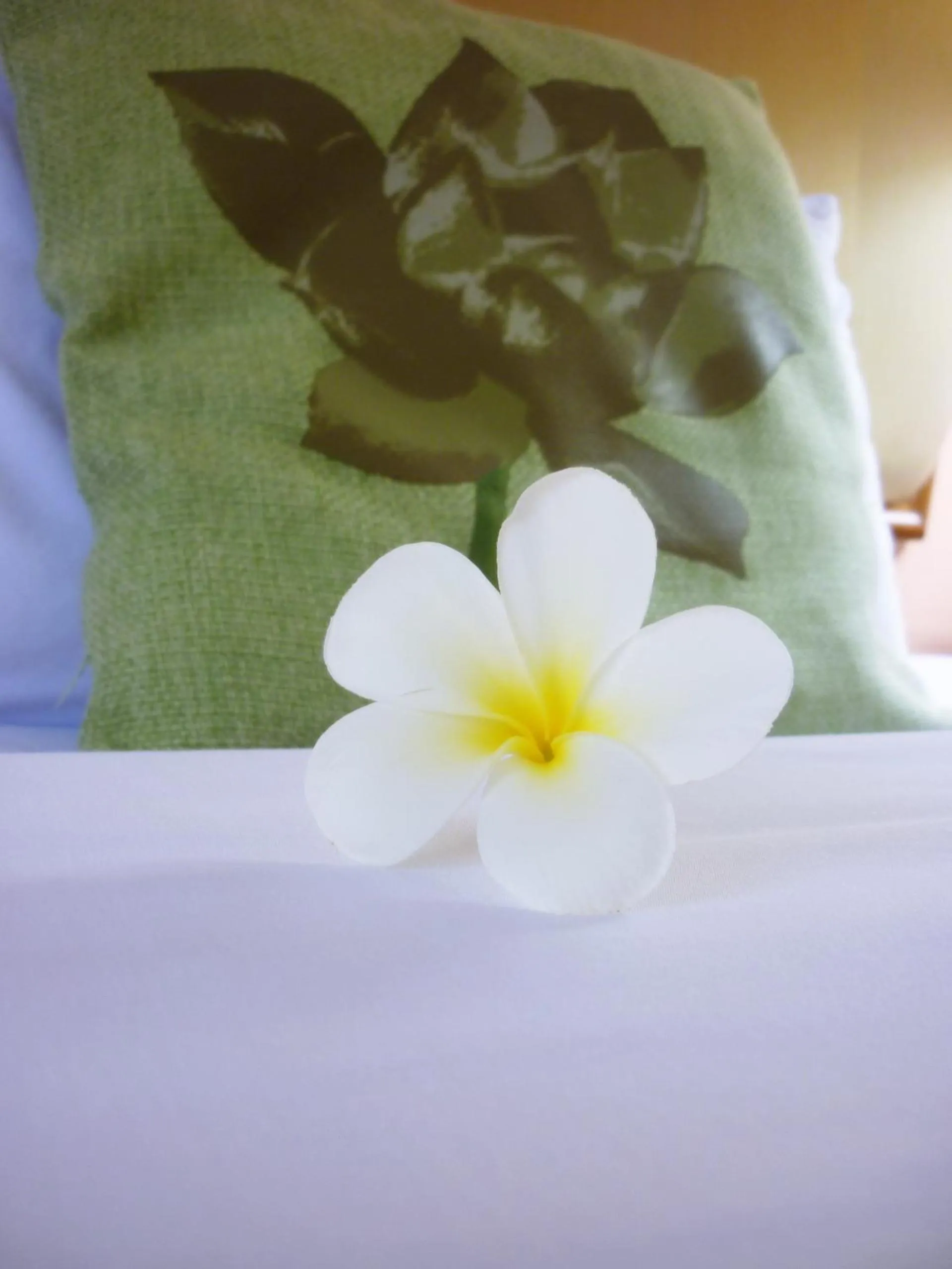 Area and facilities, Bed in Wattana Park Hotel